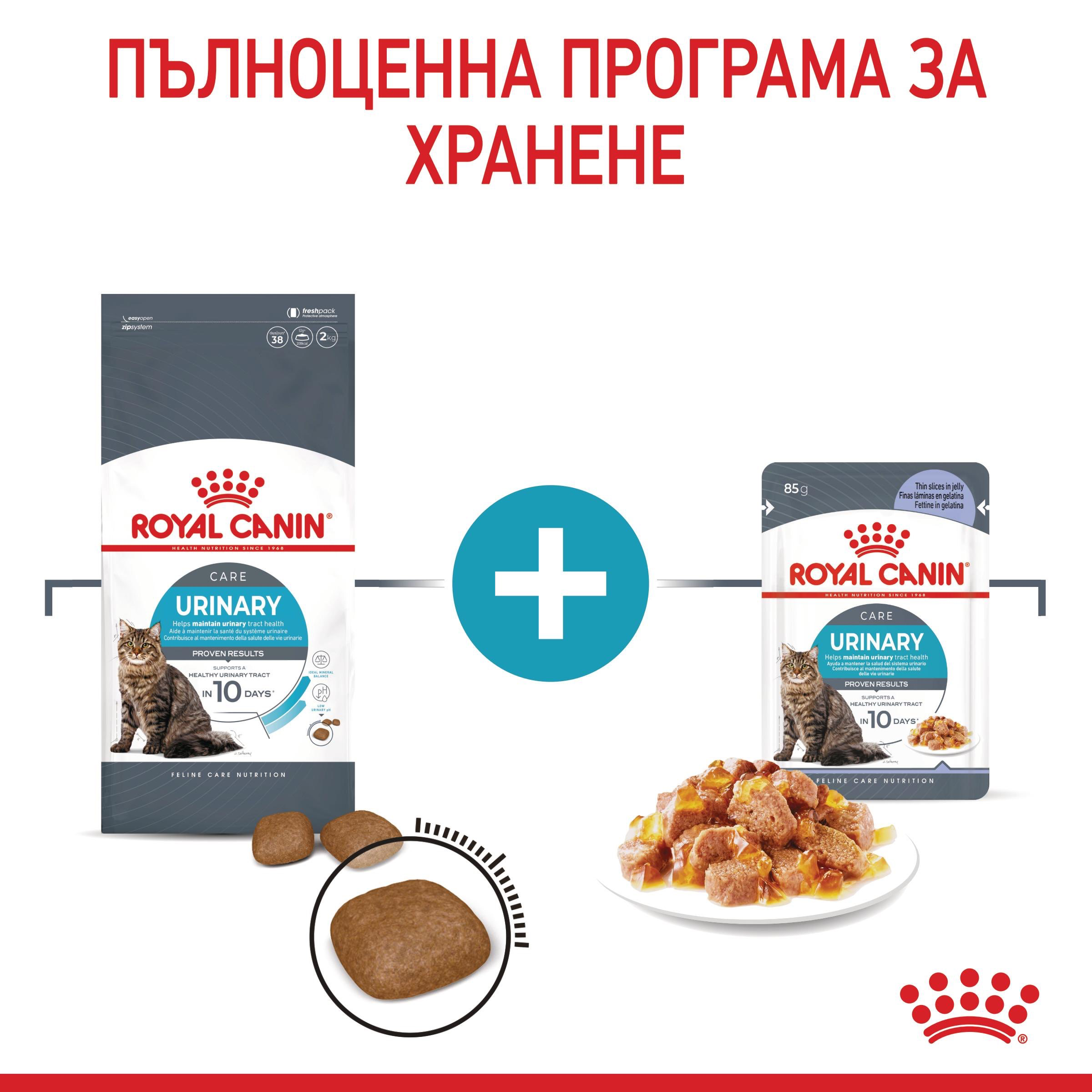 ROYAL CANIN® FCN CARE URINARY хапки в желе 85г - изображение 8