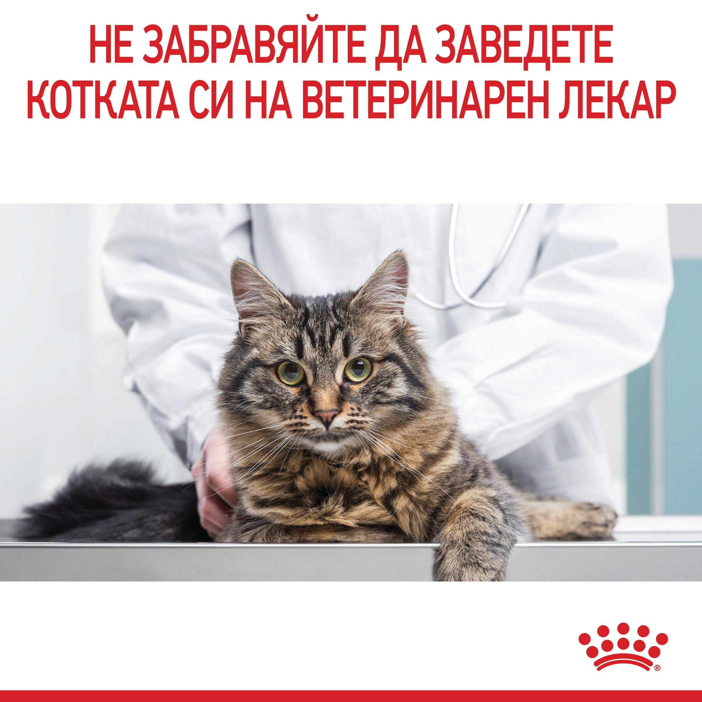 ROYAL CANIN® FCN CARE URINARY хапки в желе 85г - изображение 5