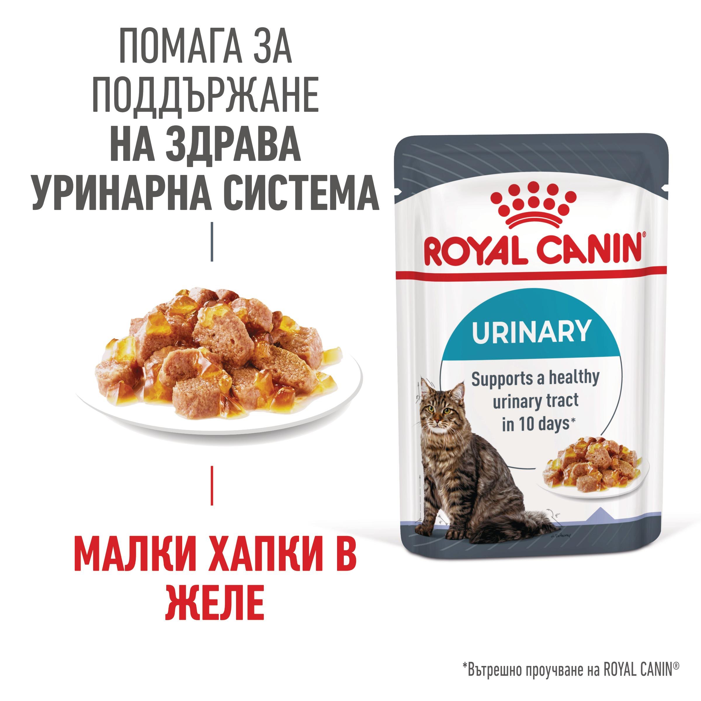 ROYAL CANIN® FCN CARE URINARY хапки в желе 85г - изображение 4