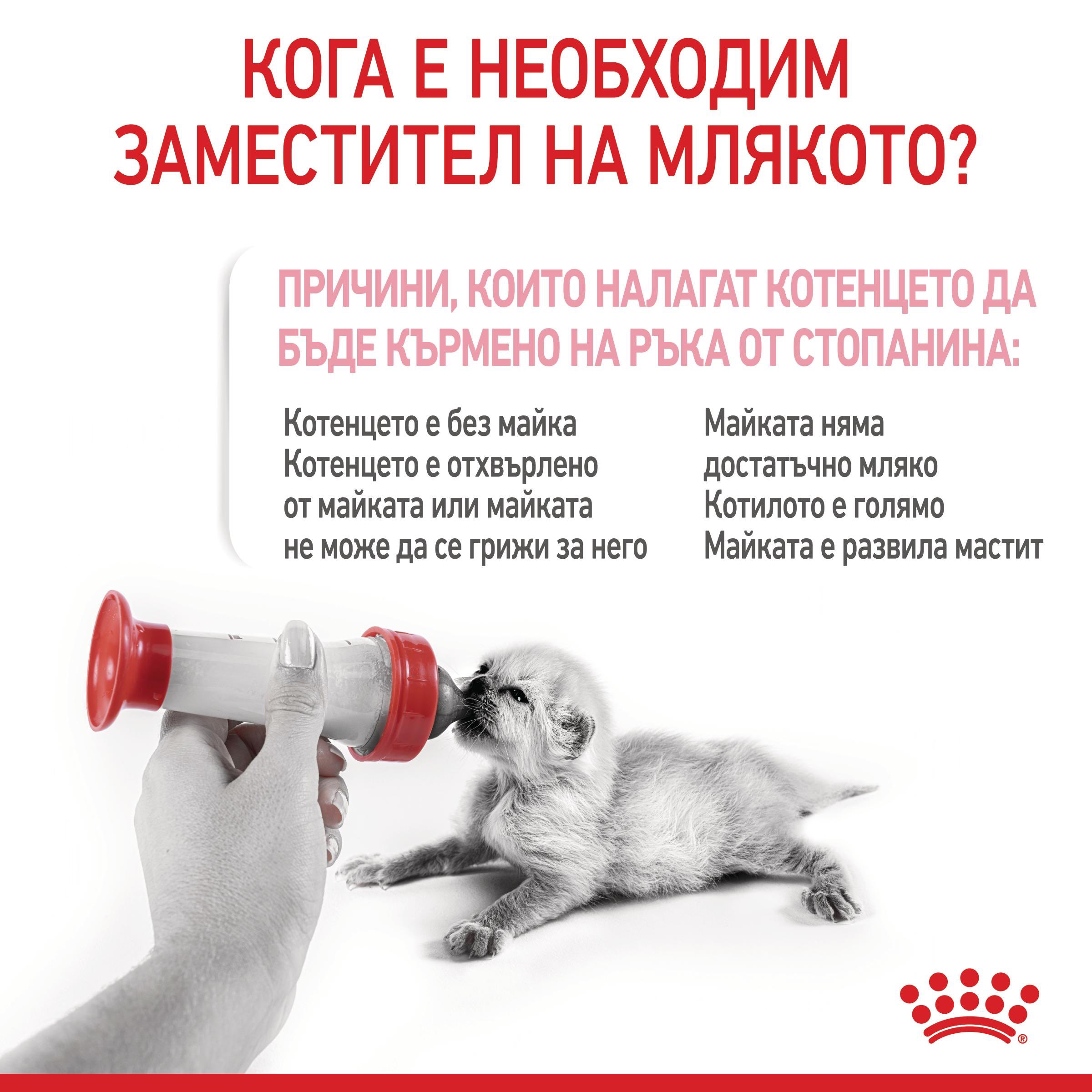 ROYAL CANIN® BABYCAT MILK 300g - изображение 7
