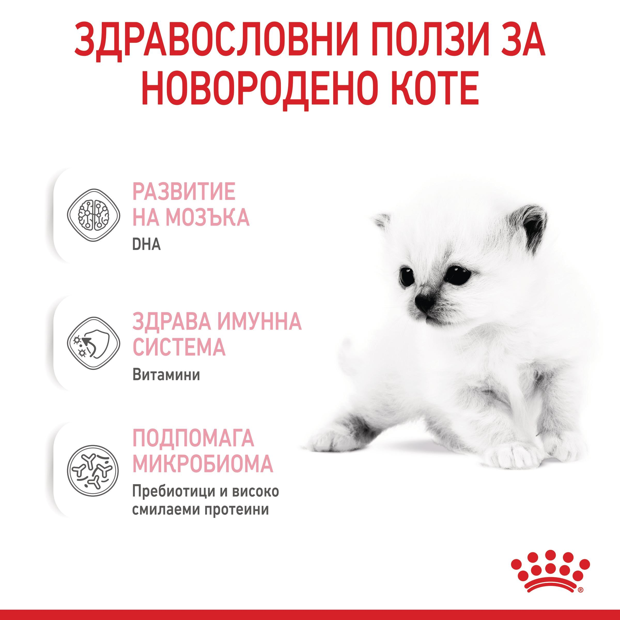 ROYAL CANIN® BABYCAT MILK 300g - изображение 5