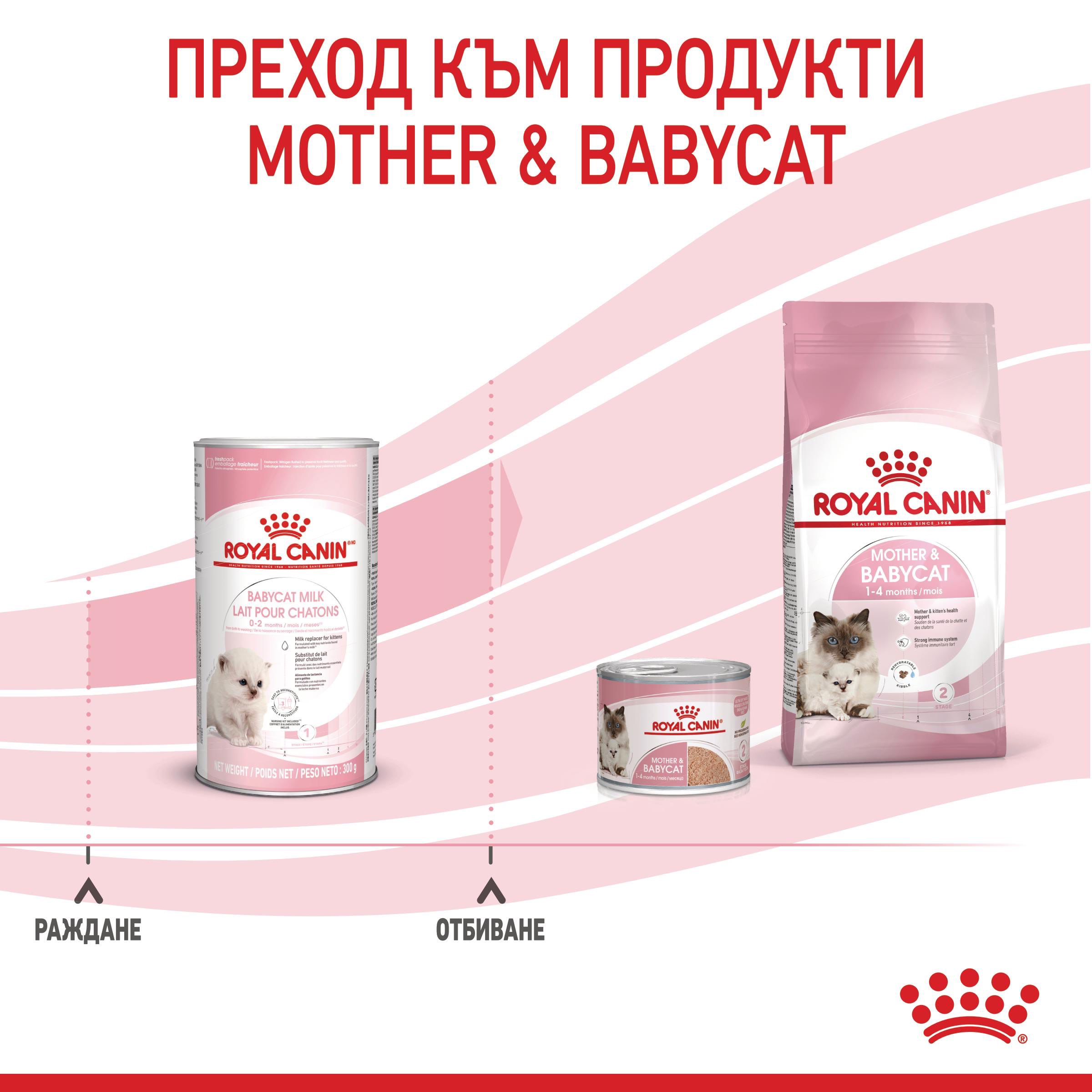 ROYAL CANIN® BABYCAT MILK 300g - изображение 2