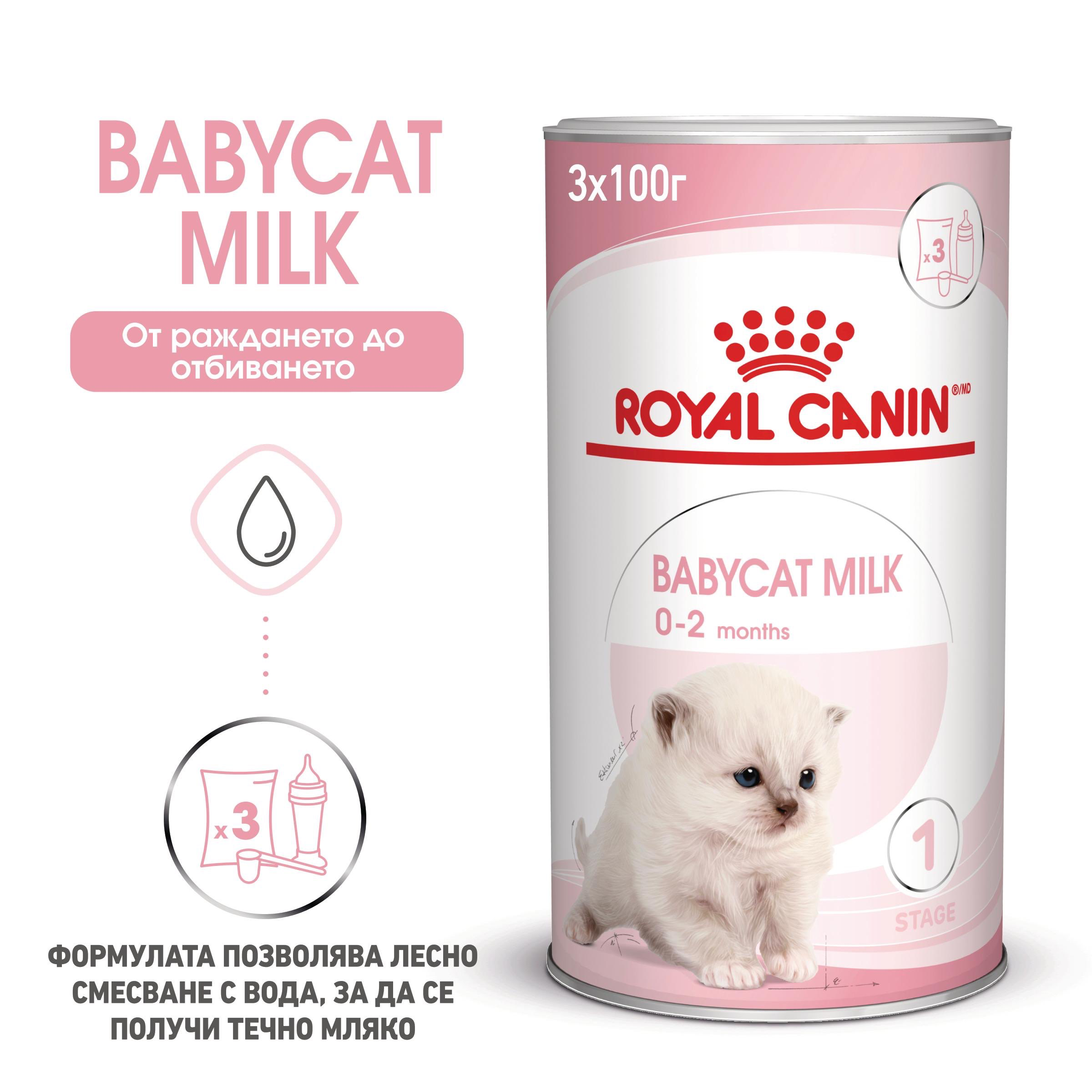 ROYAL CANIN® BABYCAT MILK 300g - изображение 1