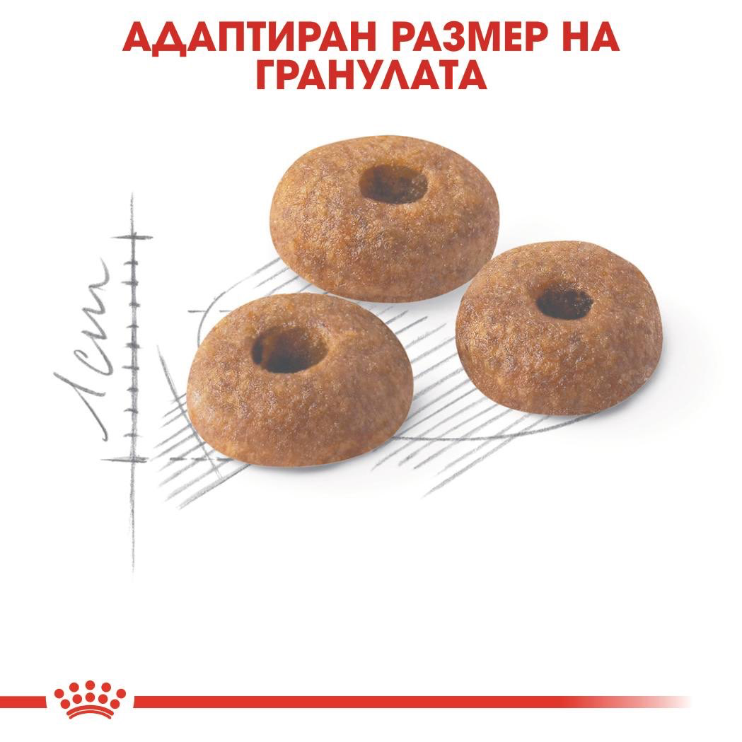 ROYAL CANIN® FHN FIT 2 kg - изображение 3