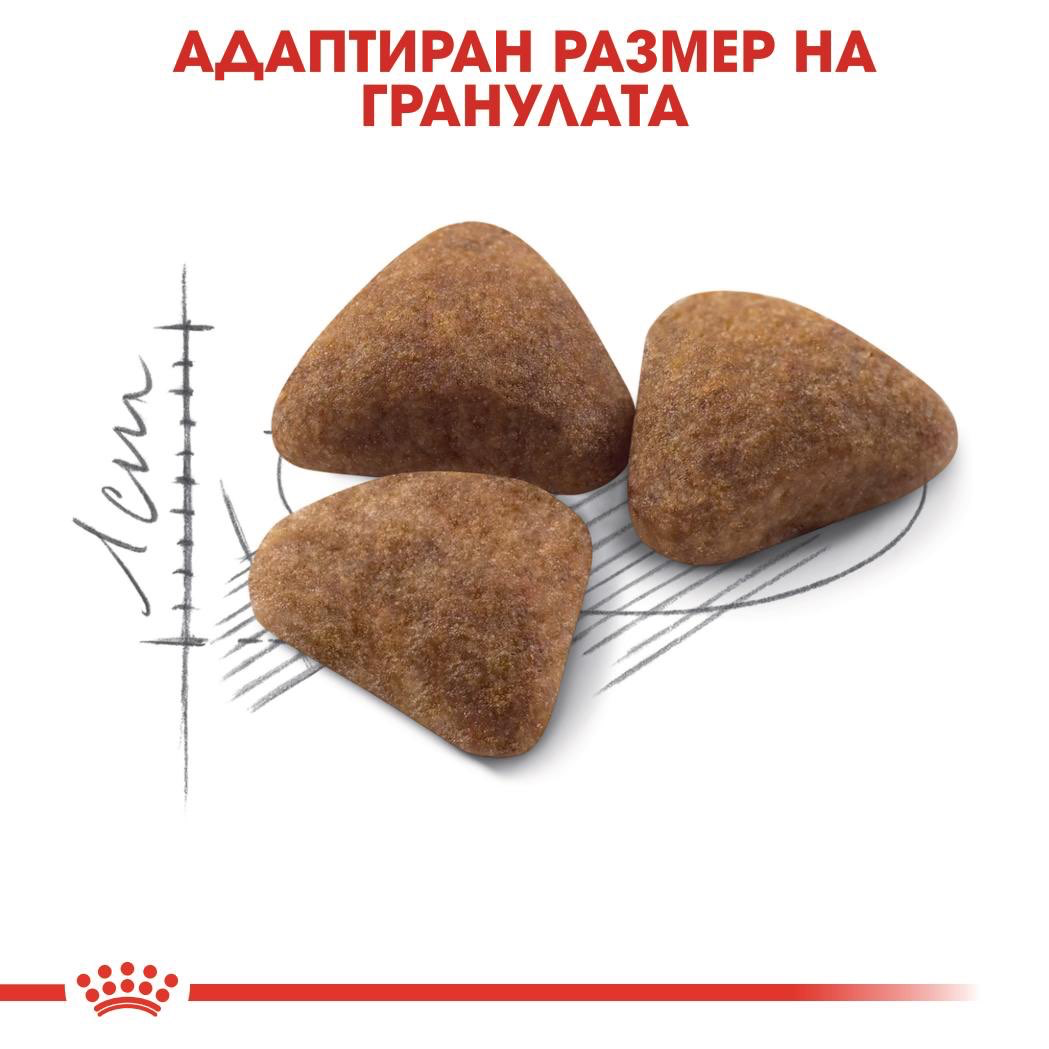 ROYAL CANIN® FHN INDOOR 400г - изображение 2