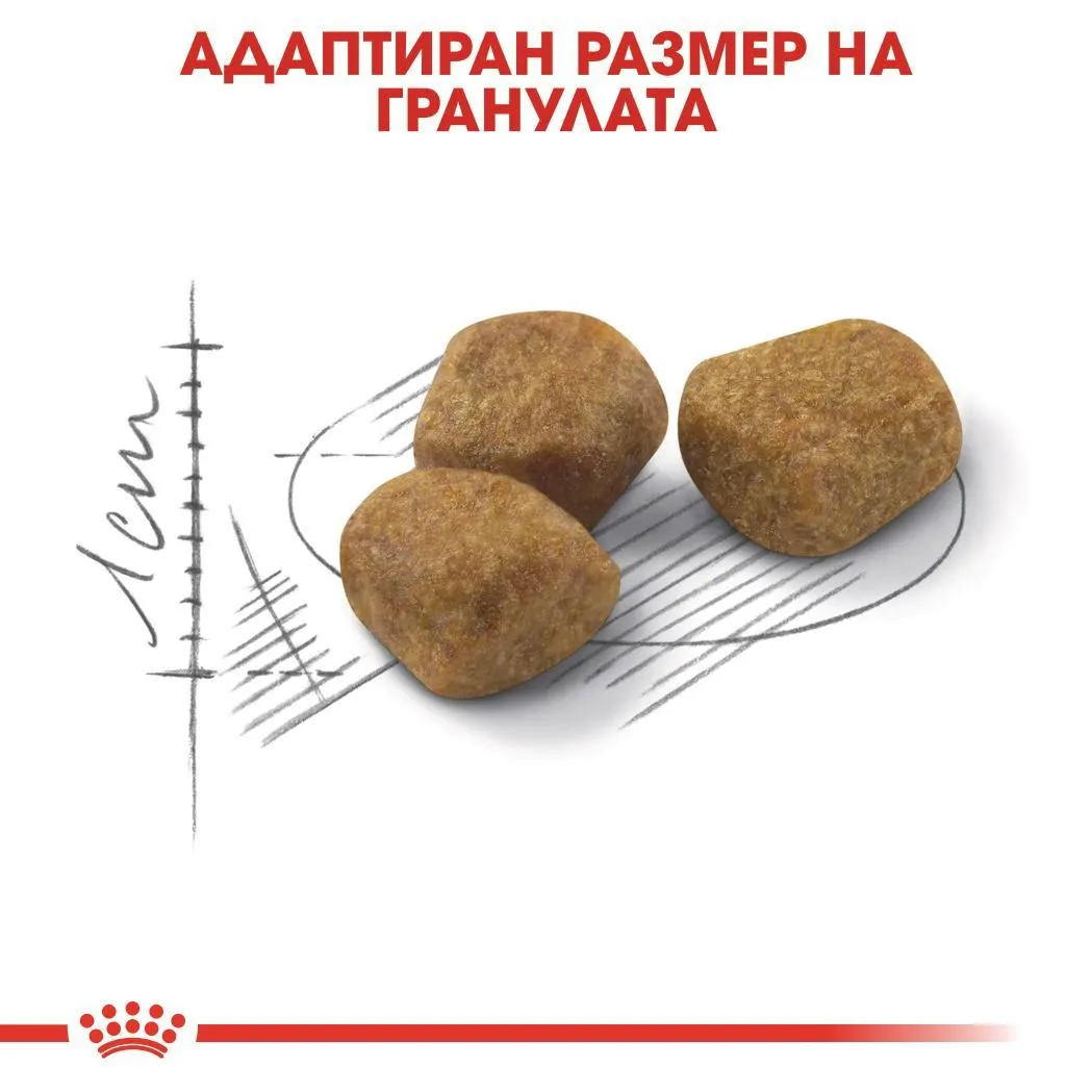 ROYAL CANIN® FHN INDOOR 7+ 3.5kg - изображение 3
