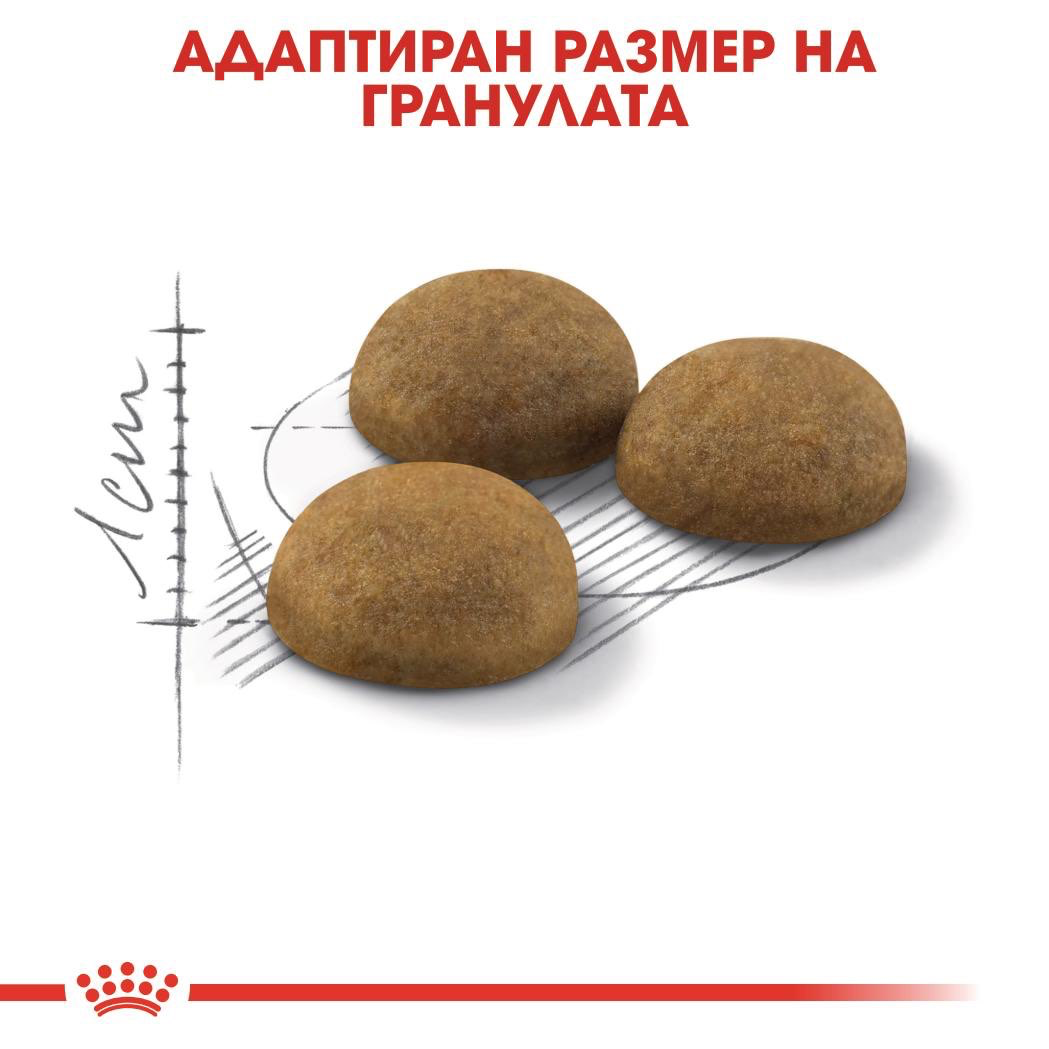ROYAL CANIN® FHN INDOOR LONG HAIR 2кг - изображение 3