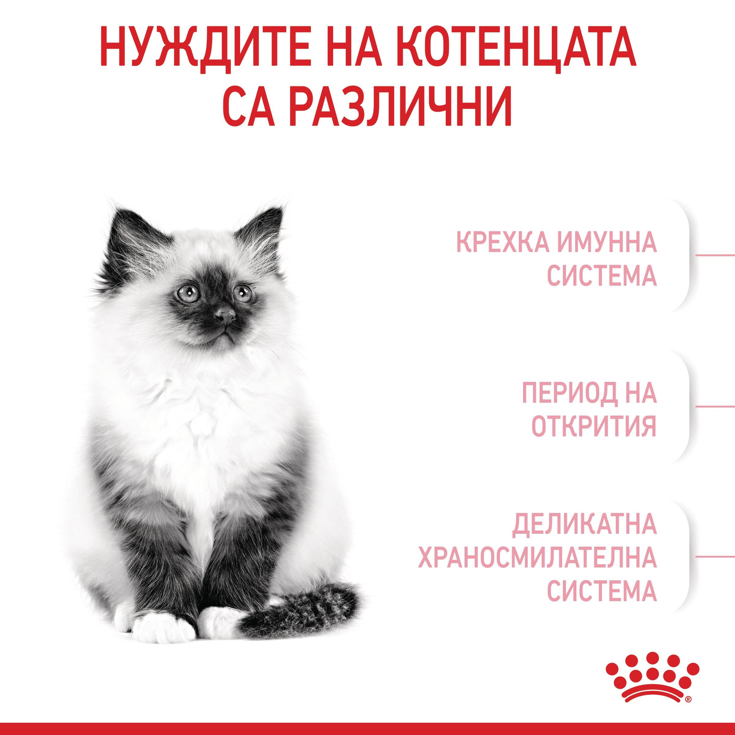 ROYAL CANIN® FHN KITTEN 1.2kg - изображение 8