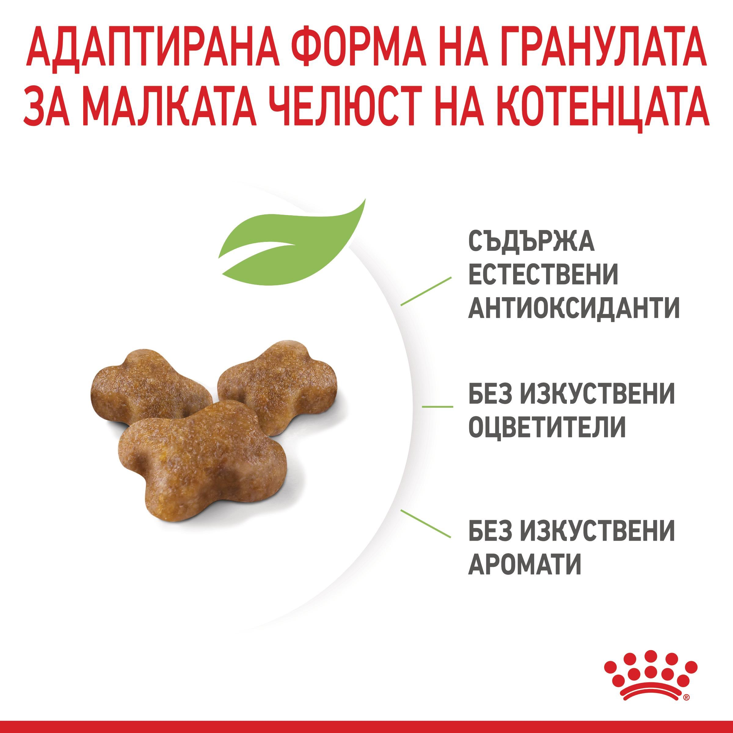 ROYAL CANIN® FHN KITTEN 1.2kg - изображение 6