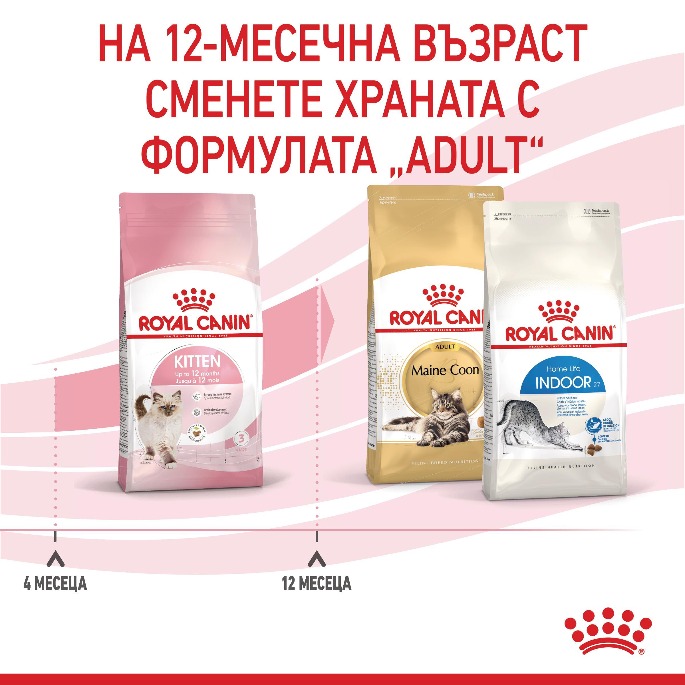 ROYAL CANIN® FHN KITTEN 1.2kg - изображение 5
