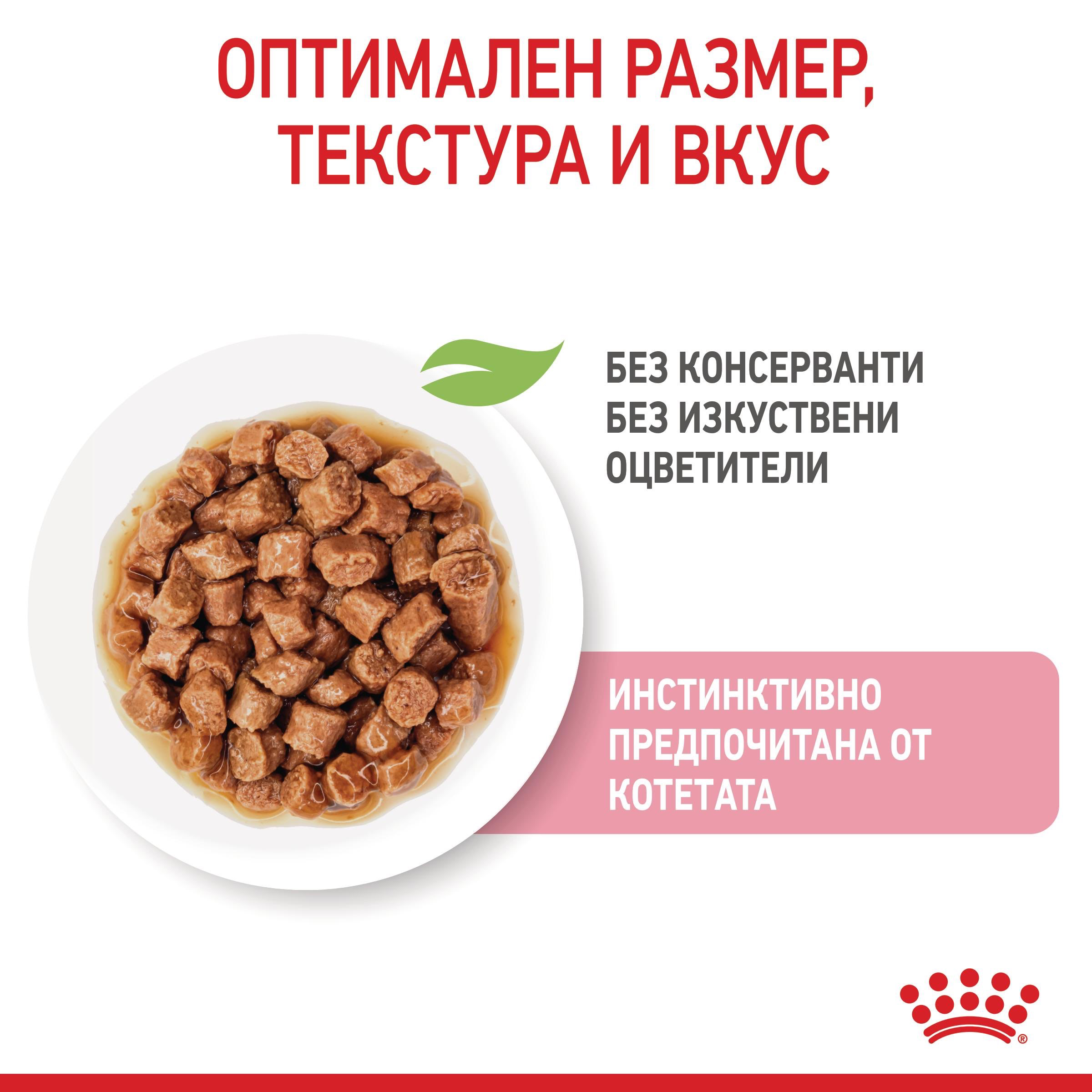 ROYAL CANIN® FHN KITTEN snacks in a sauce 85g - изображение 2