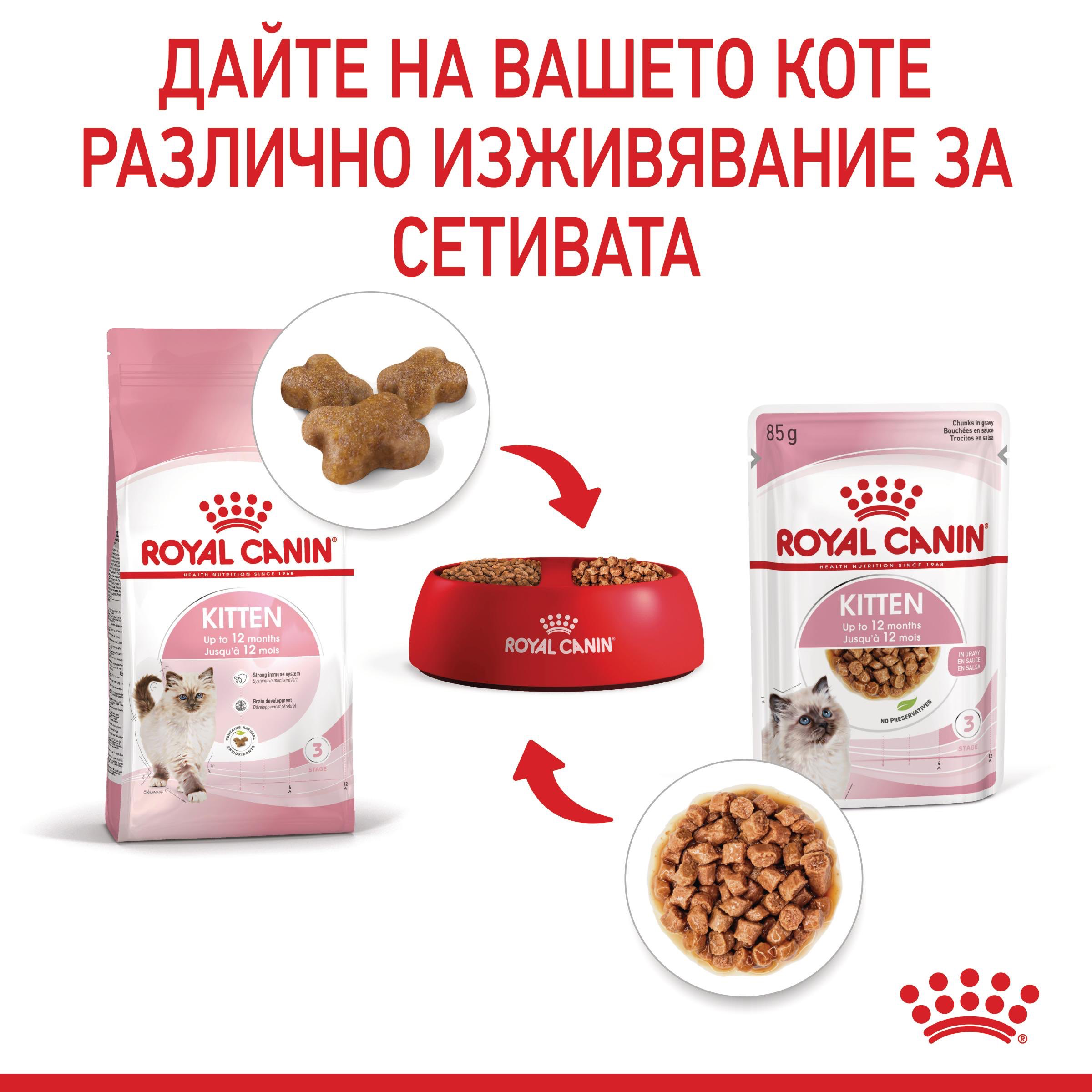 ROYAL CANIN® FHN KITTEN snacks in a sauce 85g - изображение 4