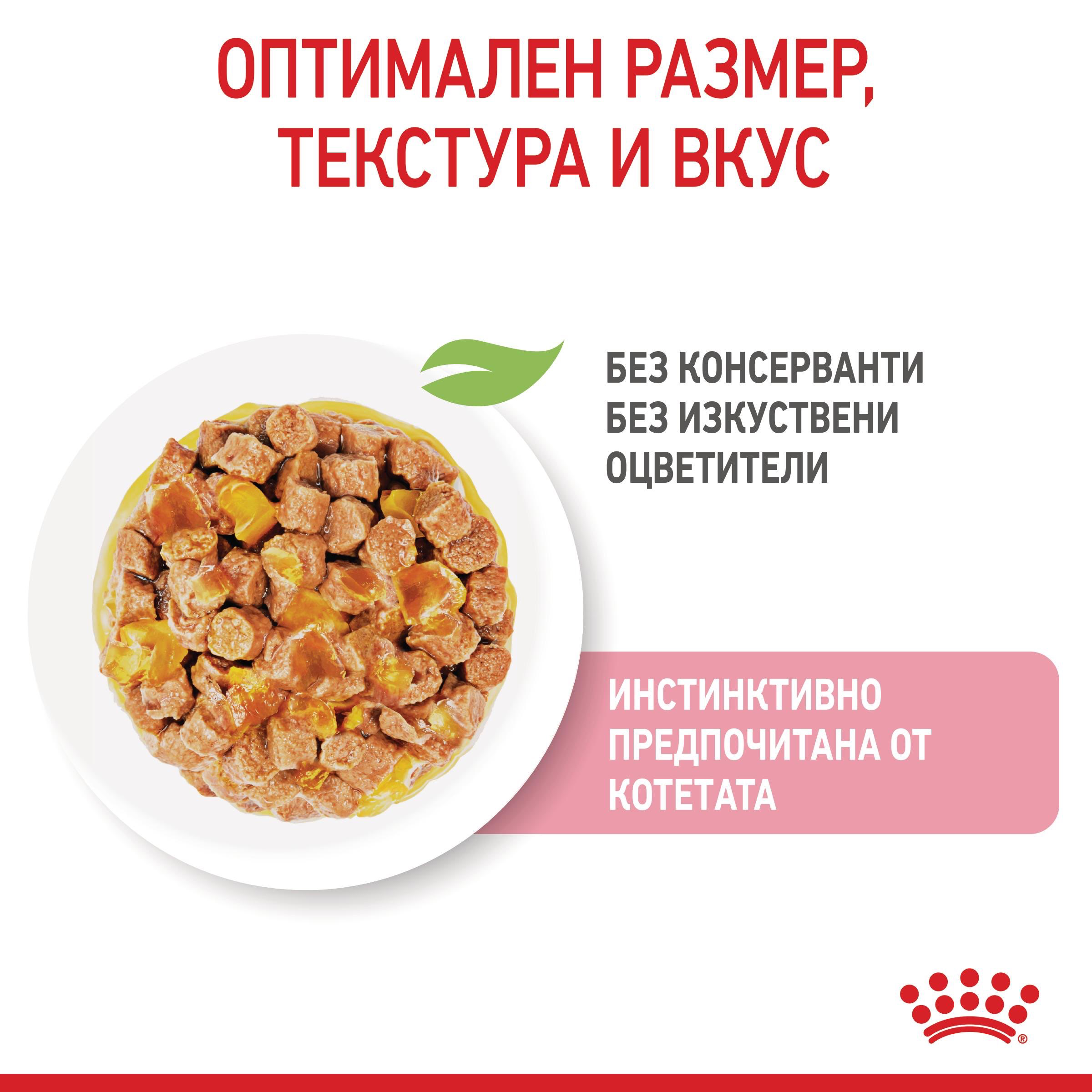 ROYAL CANIN® FHN KITTEN хапки в желе 85г - изображение 9