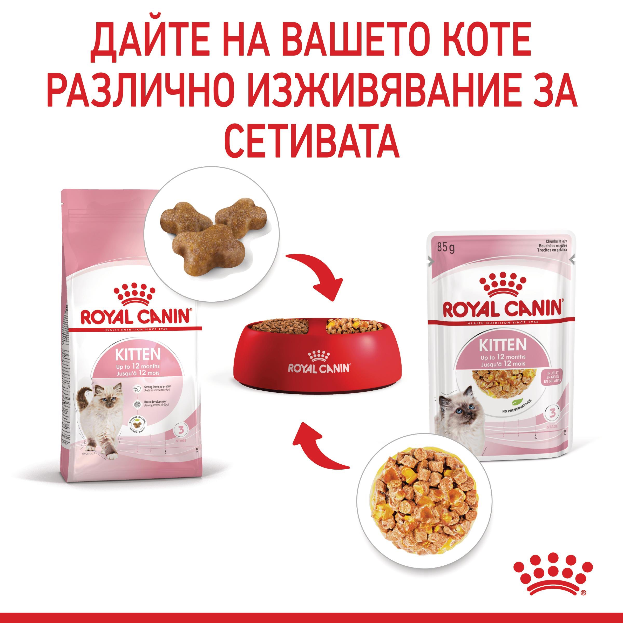 ROYAL CANIN® FHN KITTEN хапки в желе 85г - изображение 7