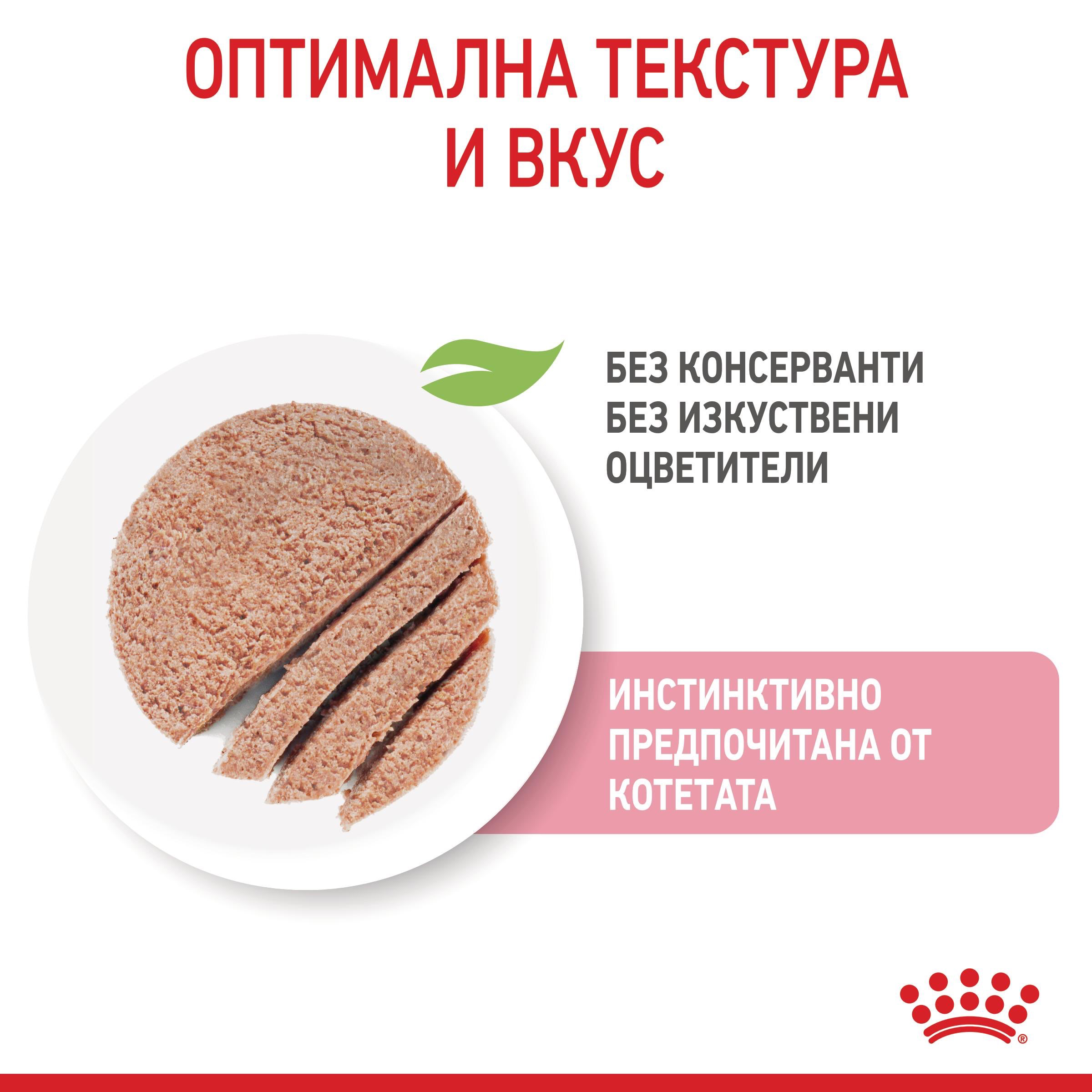 ROYAL CANIN® FHN KITTEN paste 85g - изображение 9
