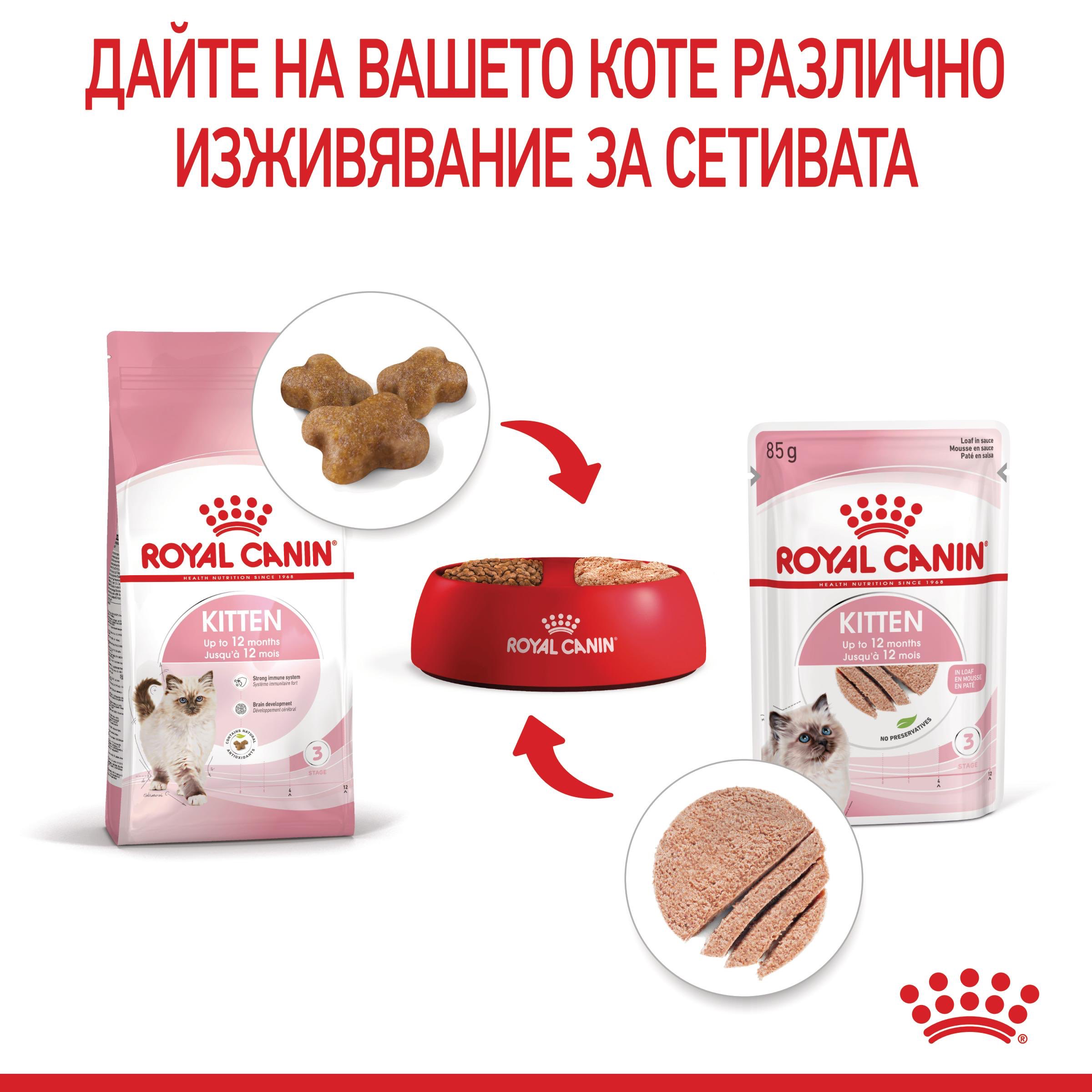 ROYAL CANIN® FHN KITTEN paste 85g - изображение 7