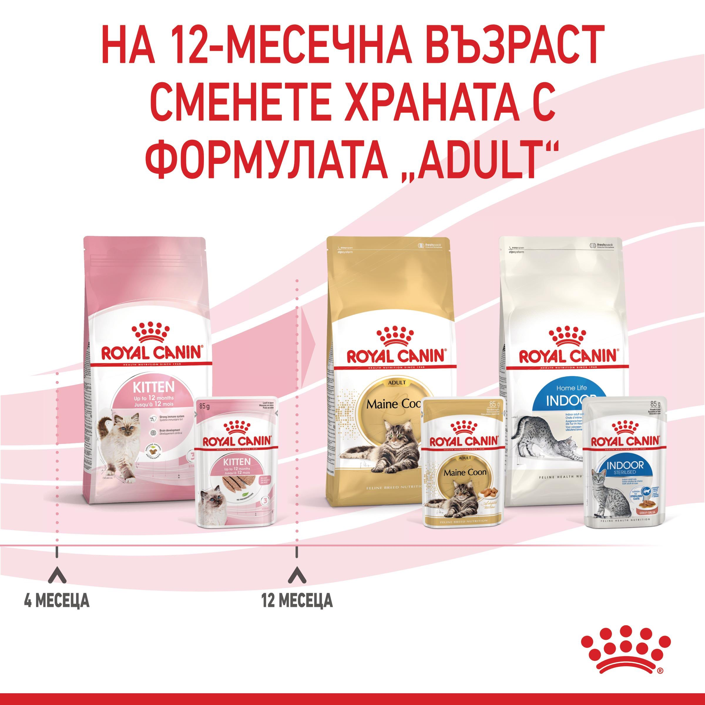 ROYAL CANIN® FHN KITTEN paste 85g - изображение 5