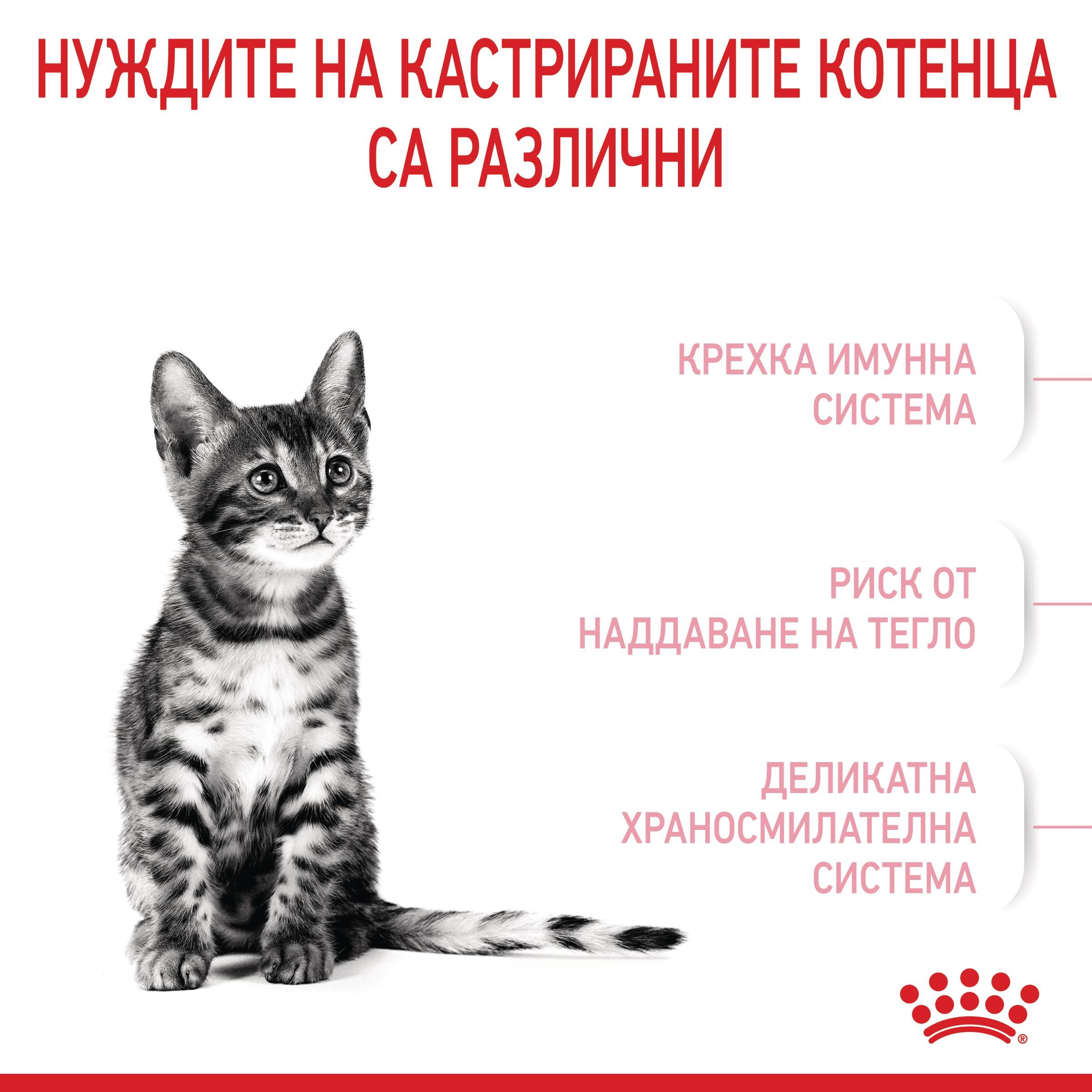 ROYAL CANIN® FHN KITTEN STERILISED 2 kg - изображение 7