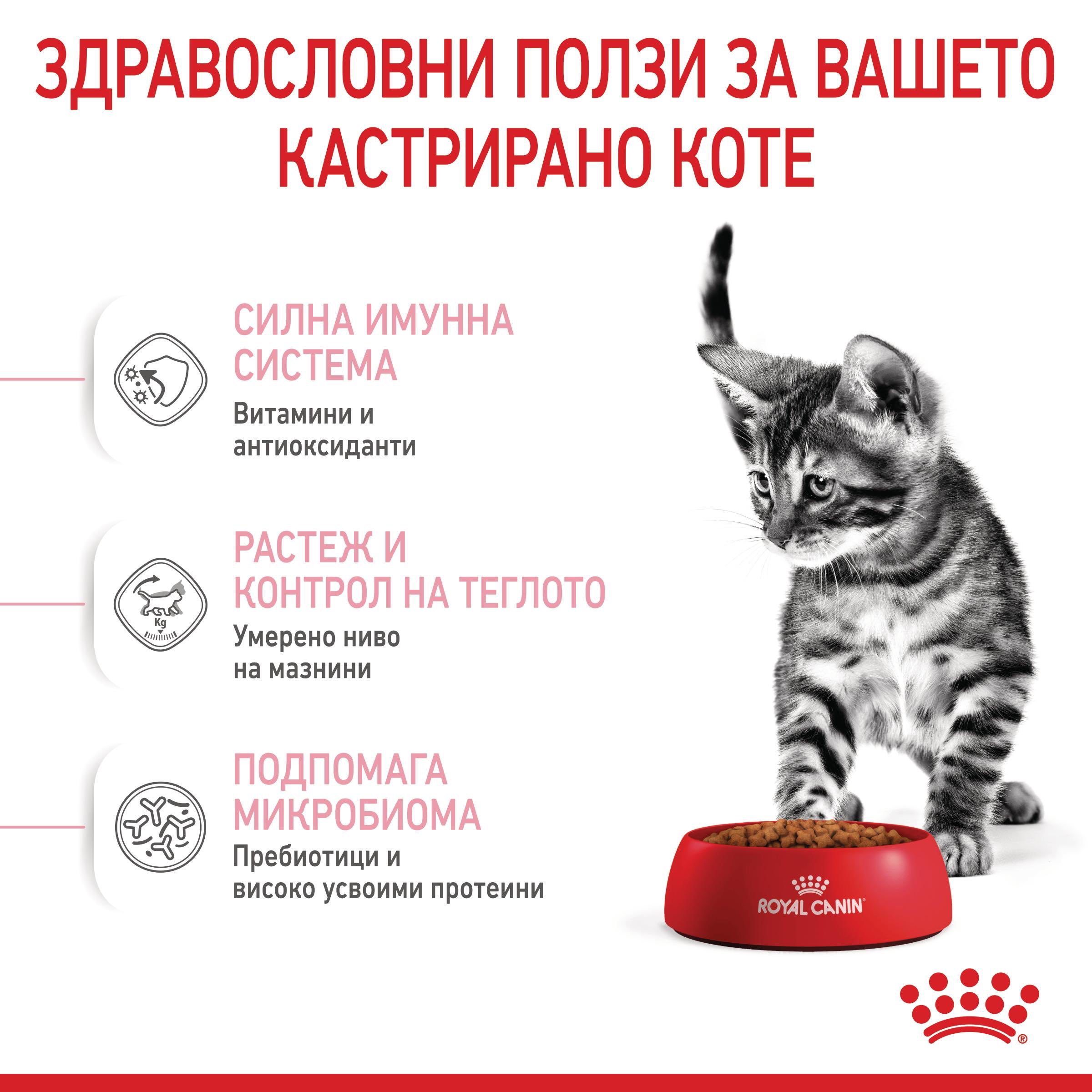ROYAL CANIN® FHN KITTEN STERILISED 2 kg - изображение 6