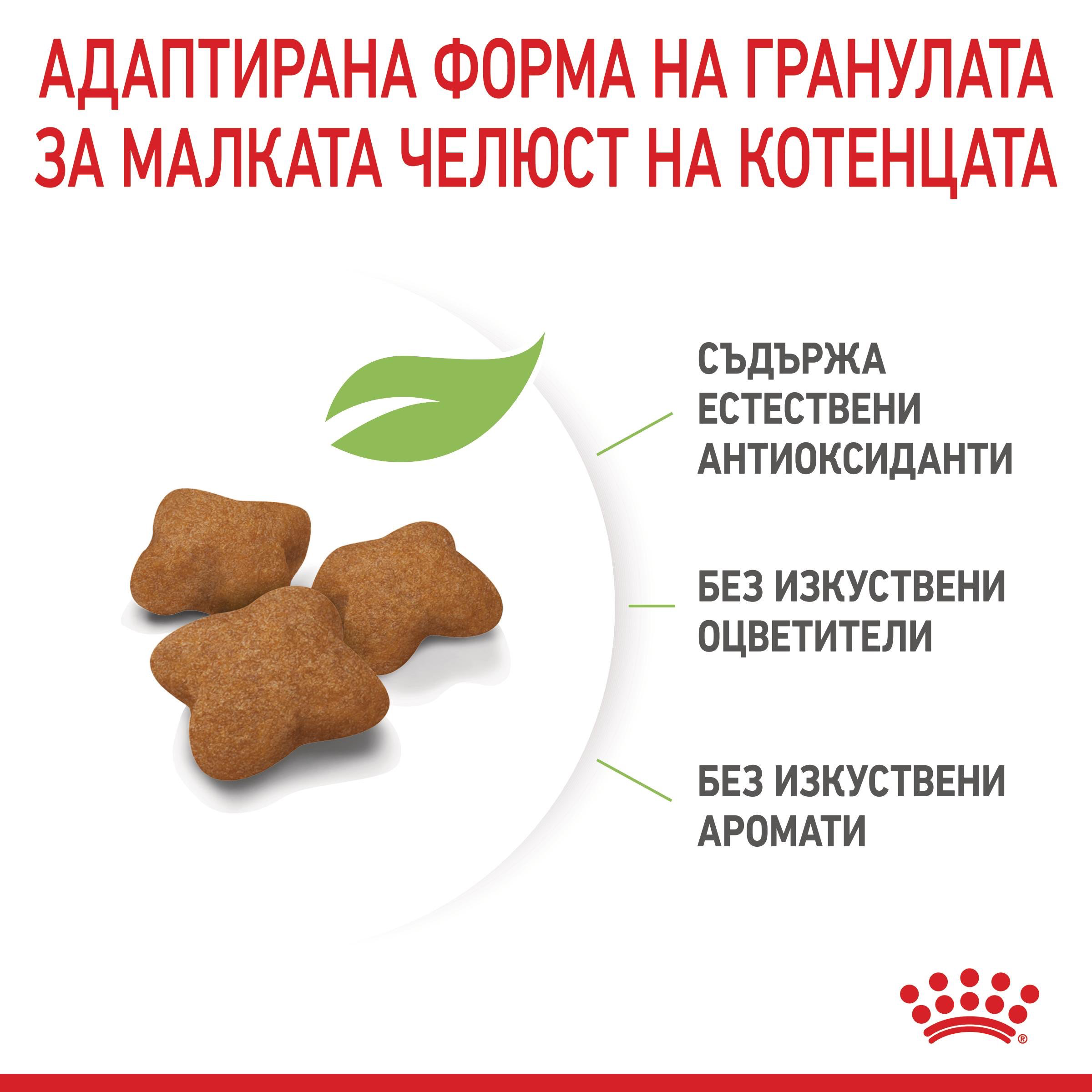 ROYAL CANIN® FHN KITTEN STERILISED 2 kg - изображение 5