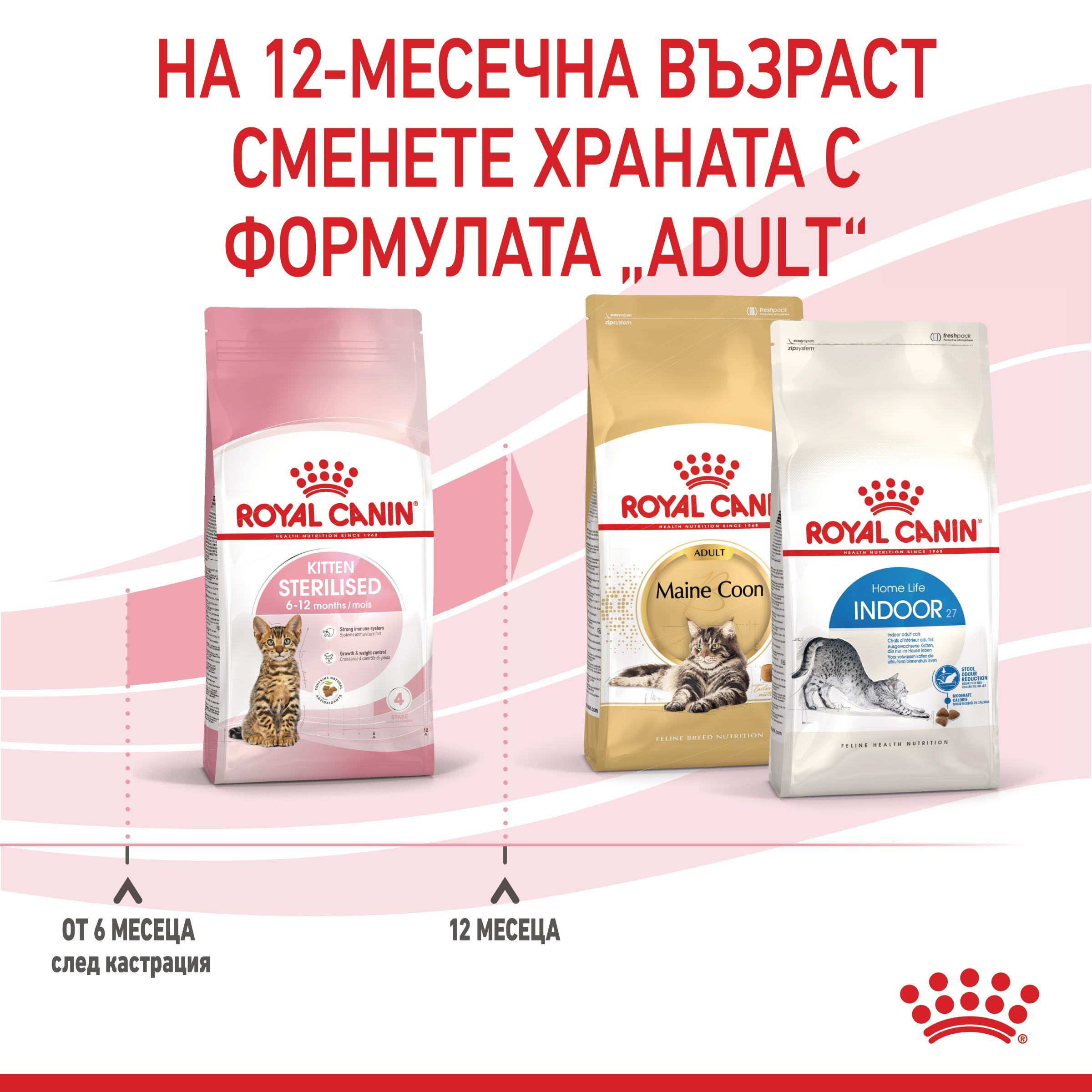 ROYAL CANIN® FHN KITTEN STERILISED 2 kg - изображение 4