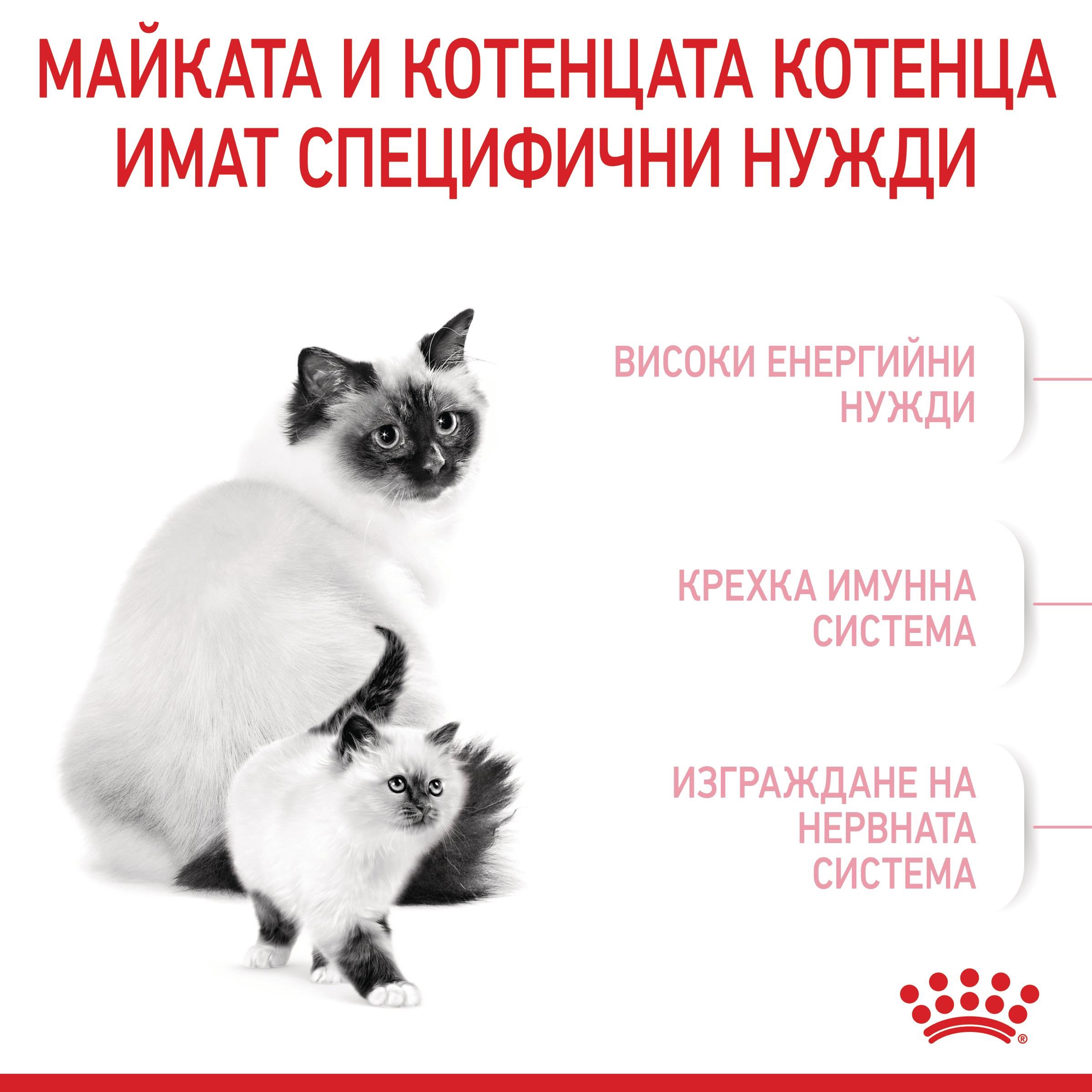 ROYAL CANIN® FHN MOTHER&BABYCAT 2kg - изображение 9