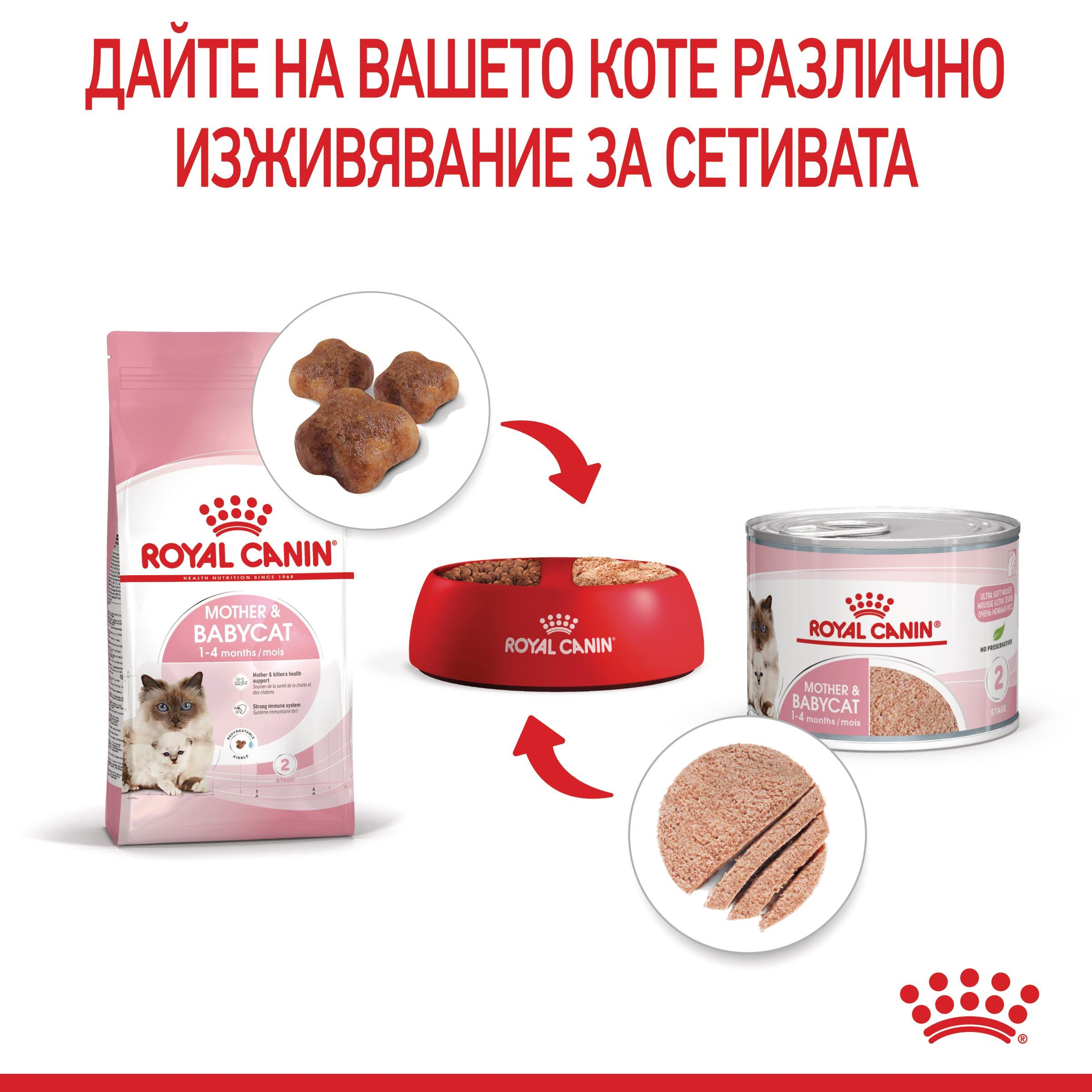 ROYAL CANIN® FHN MOTHER&BABYCAT 2kg - изображение 7