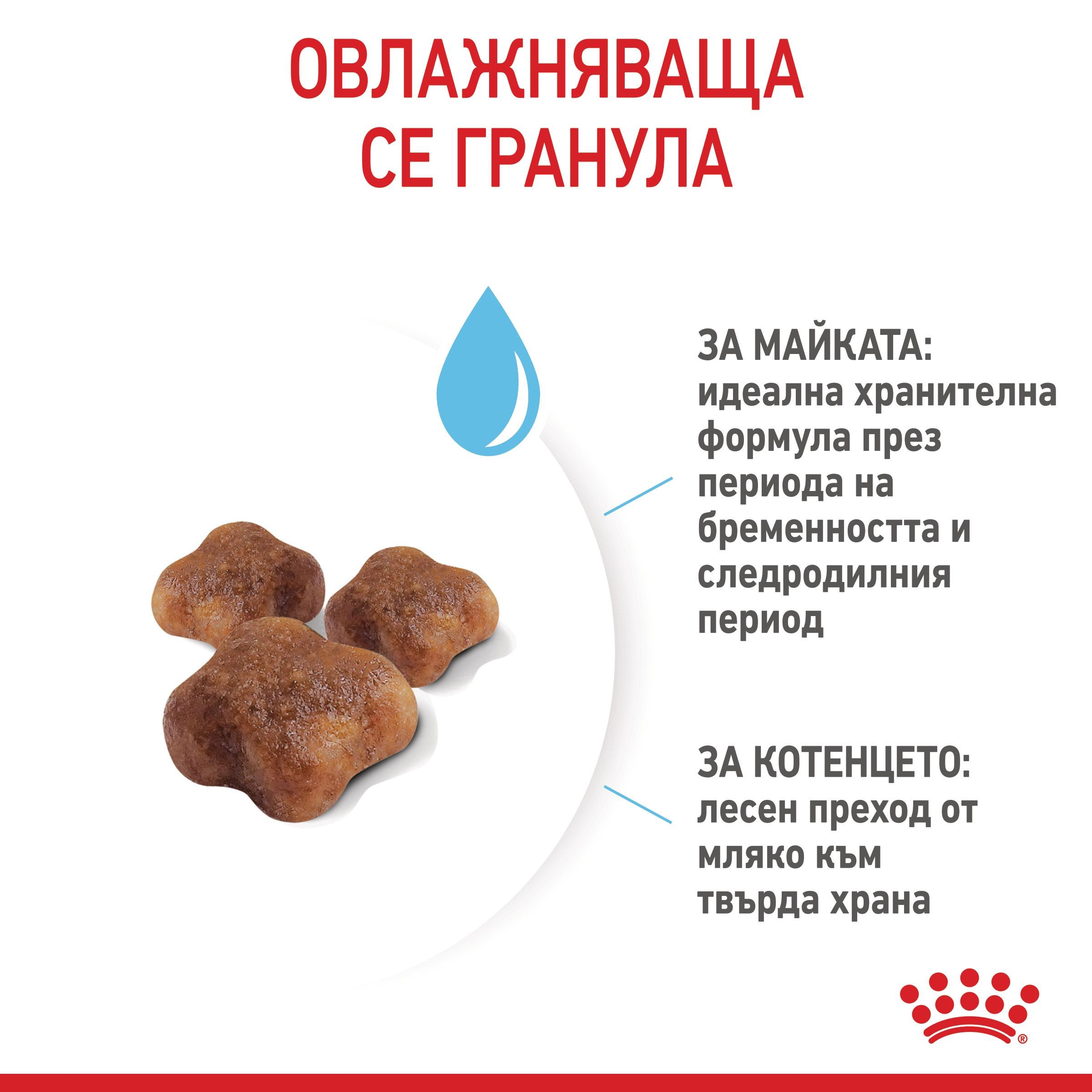 ROYAL CANIN® FHN MOTHER&BABYCAT 2kg - изображение 6