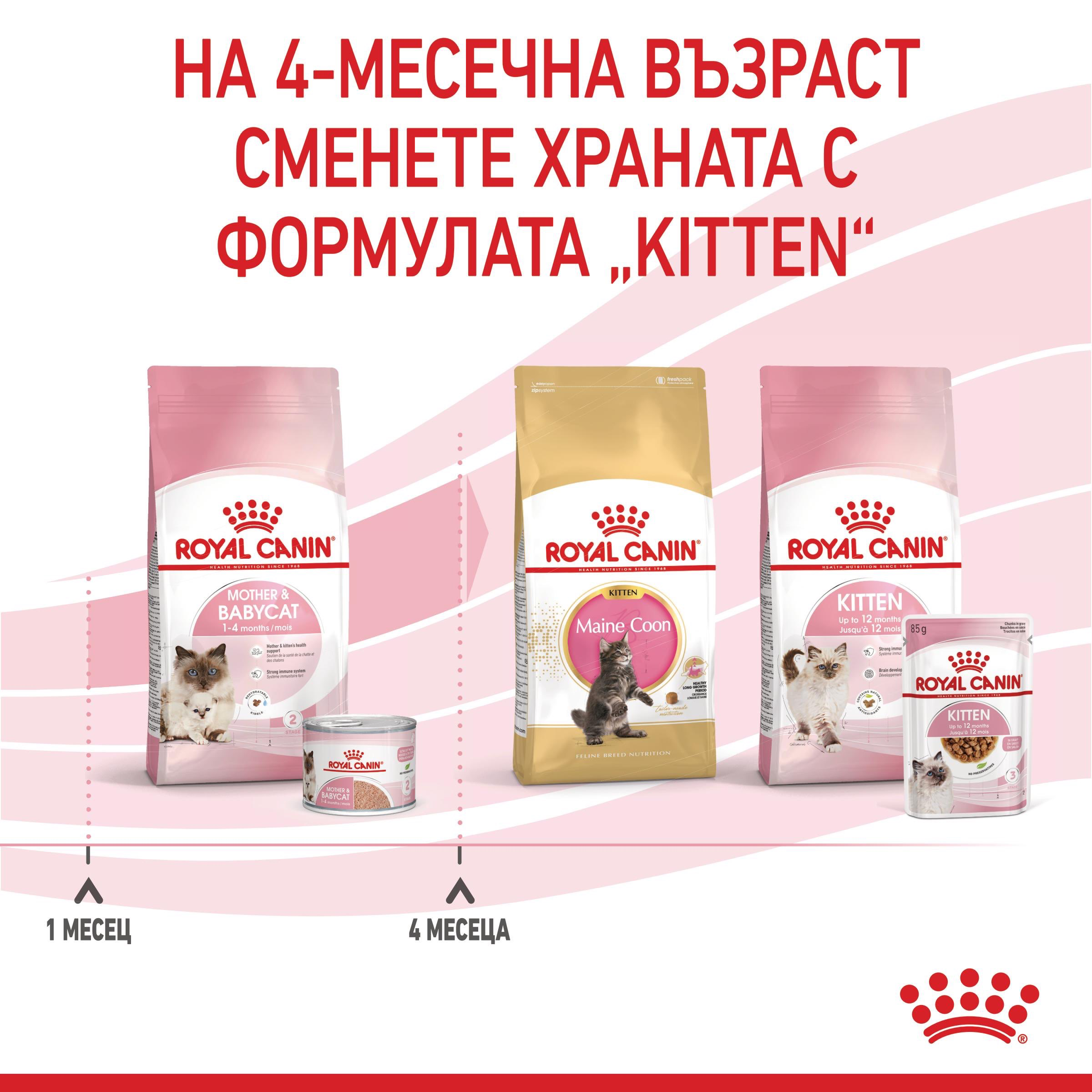 ROYAL CANIN® FHN MOTHER&BABYCAT 2kg - изображение 4