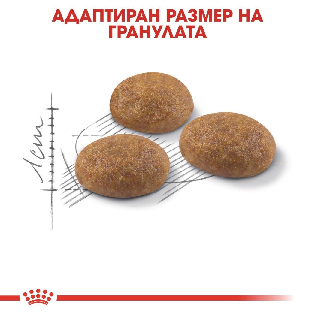 ROYAL CANIN® FHN OUTDOOR 10kg - изображение 3