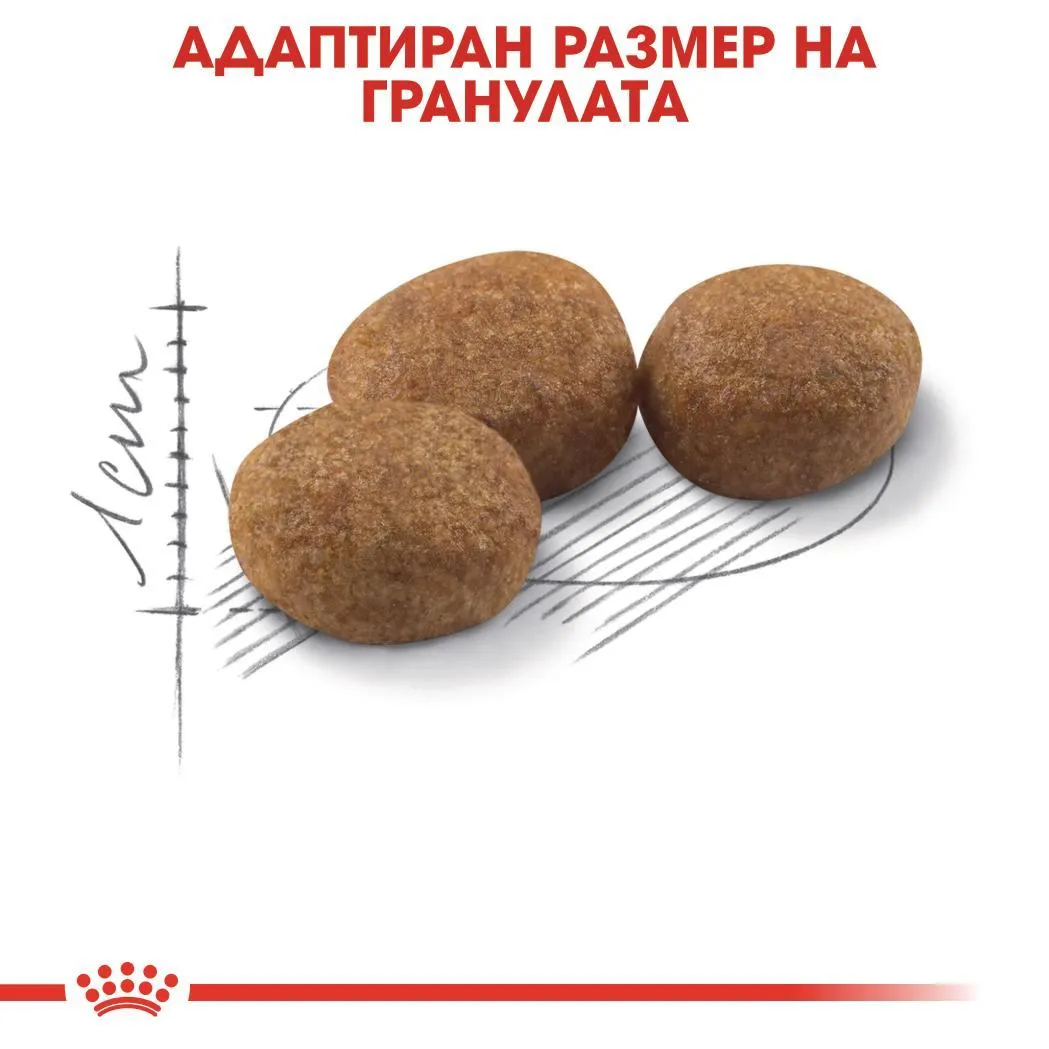 ROYAL CANIN® FHN STERILISED 400гр - изображение 4