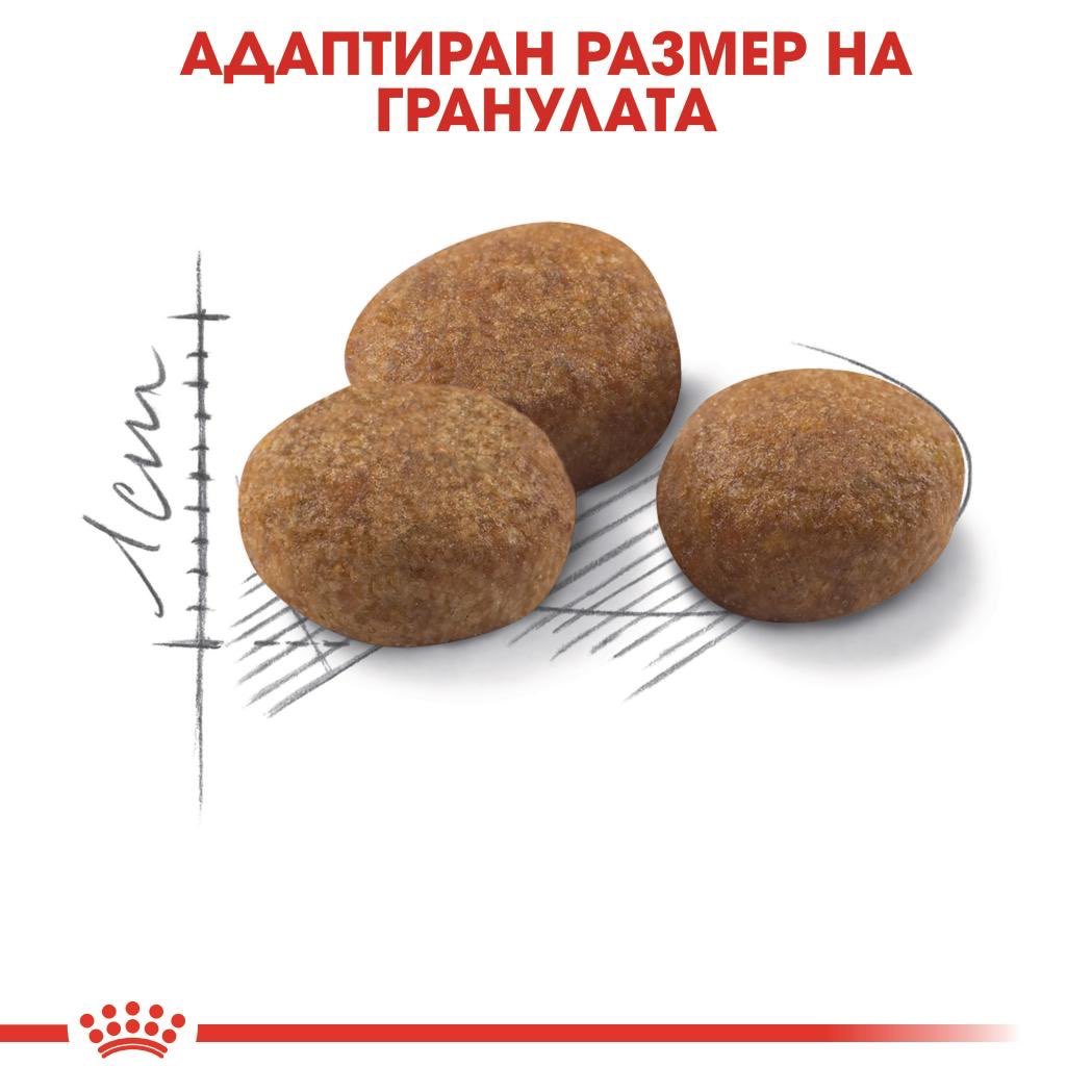 ROYAL CANIN® FHN STERILISED 7+ 3.5 кг - изображение 2