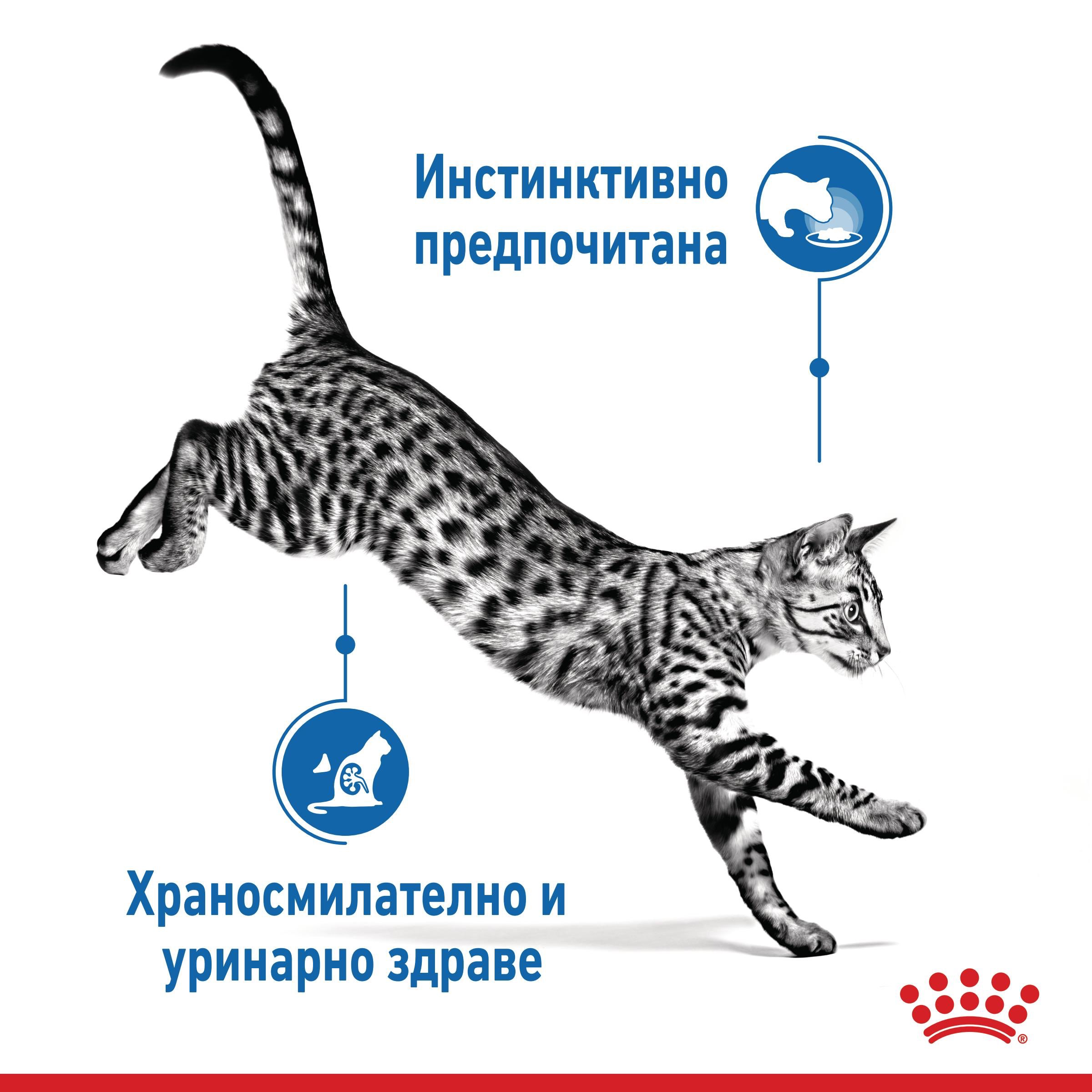 ROYAL CANIN® FHN INDOOR snacks in jelly 85g - изображение 5