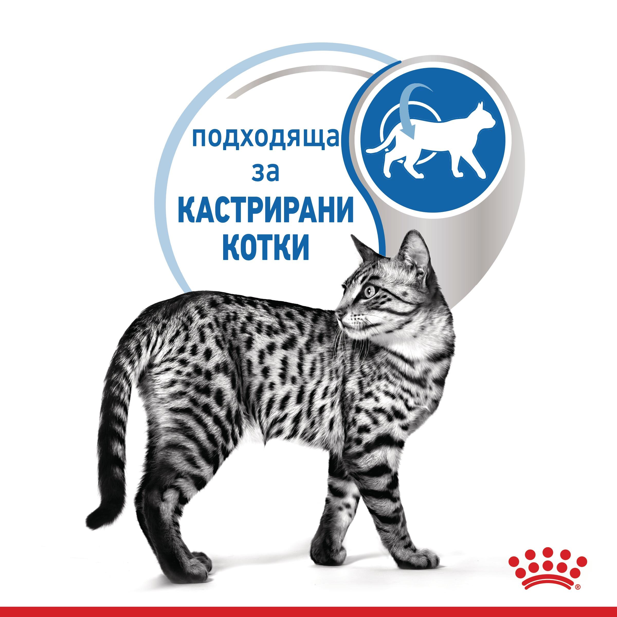 ROYAL CANIN® FHN INDOOR snacks in jelly 85g - изображение 4