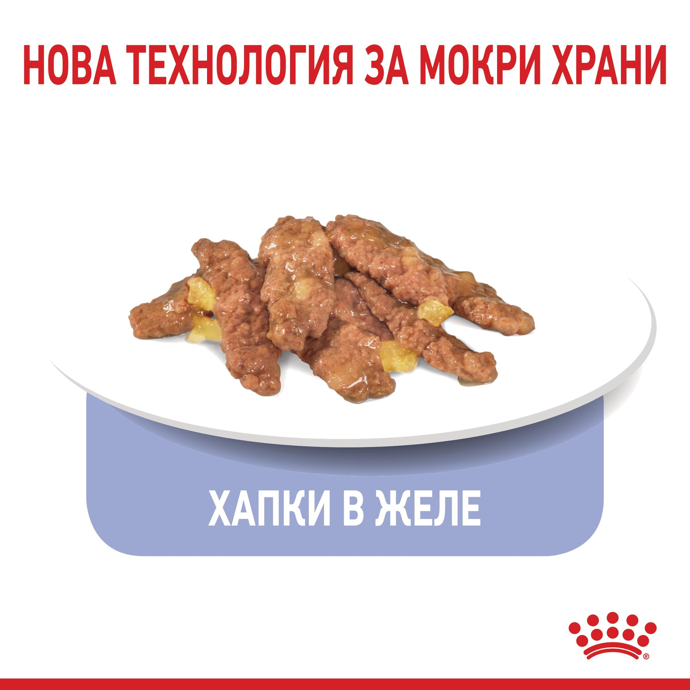 ROYAL CANIN® FHN INDOOR snacks in jelly 85g - изображение 3