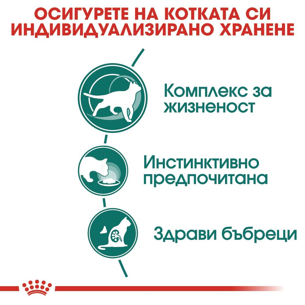 ROYAL CANIN® FHN INSTINCTIVE 7+ snacks in a 85g bag - изображение 4