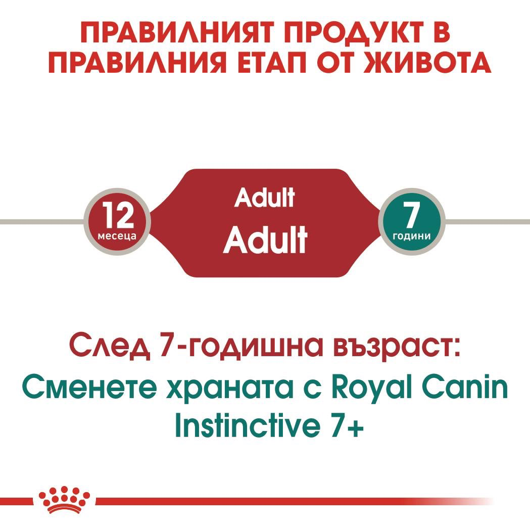 ROYAL CANIN® FHN INSTINCTIVE chews in jelly 85g - изображение 5