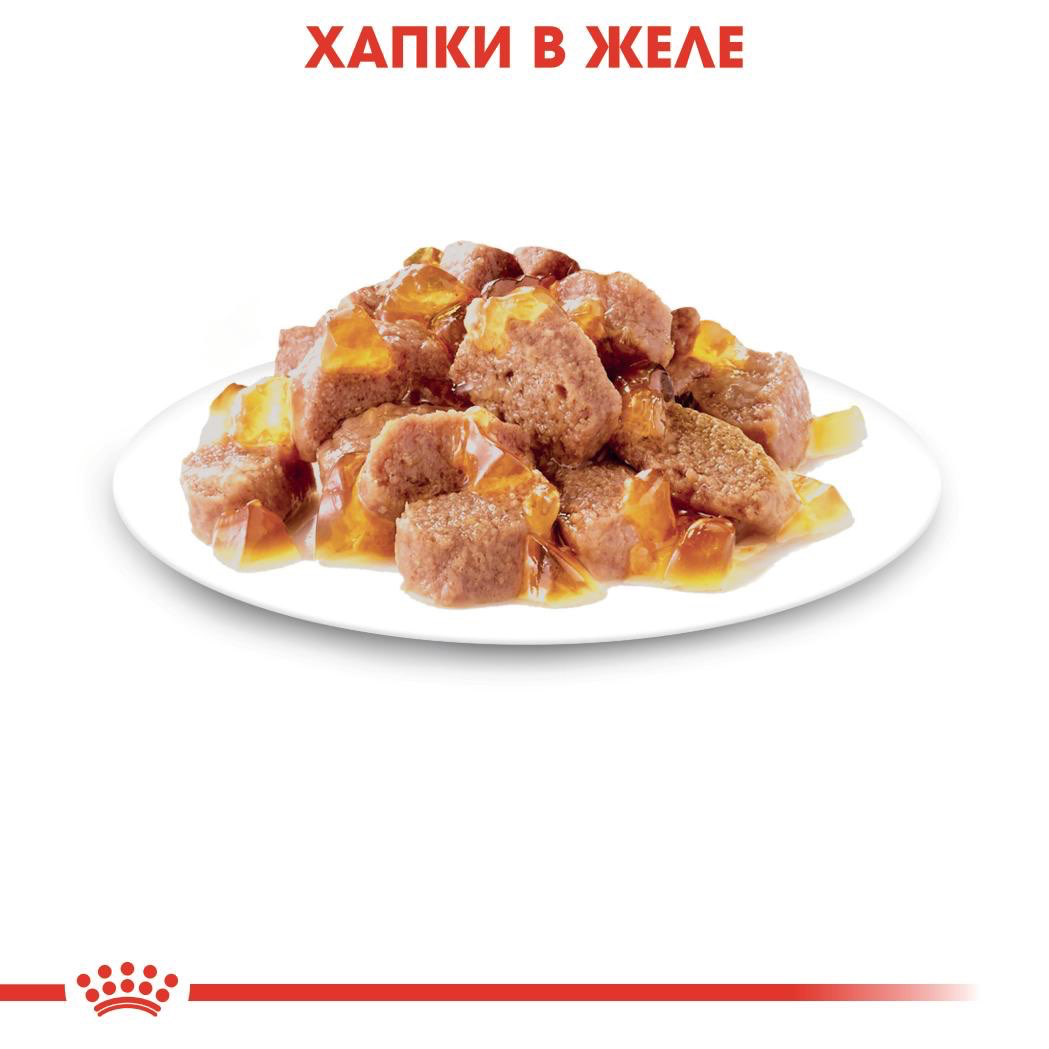 ROYAL CANIN® FHN INSTINCTIVE chews in jelly 85g - изображение 3