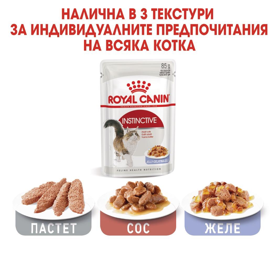 ROYAL CANIN® FHN INSTINCTIVE chews in jelly 85g - изображение 1