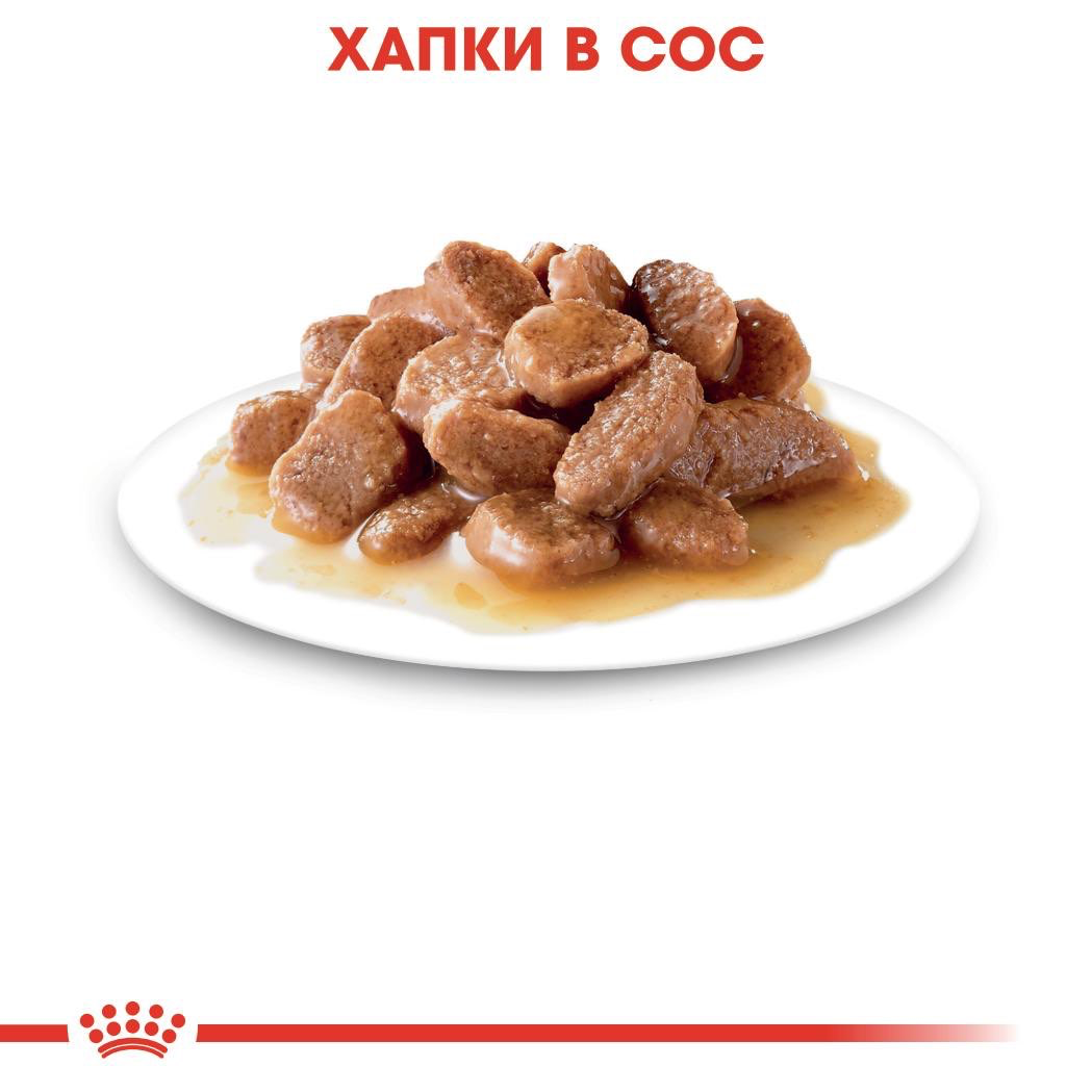 ROYAL CANIN® FHN INSTINCTIVE IN GRAVY 85г - изображение 3