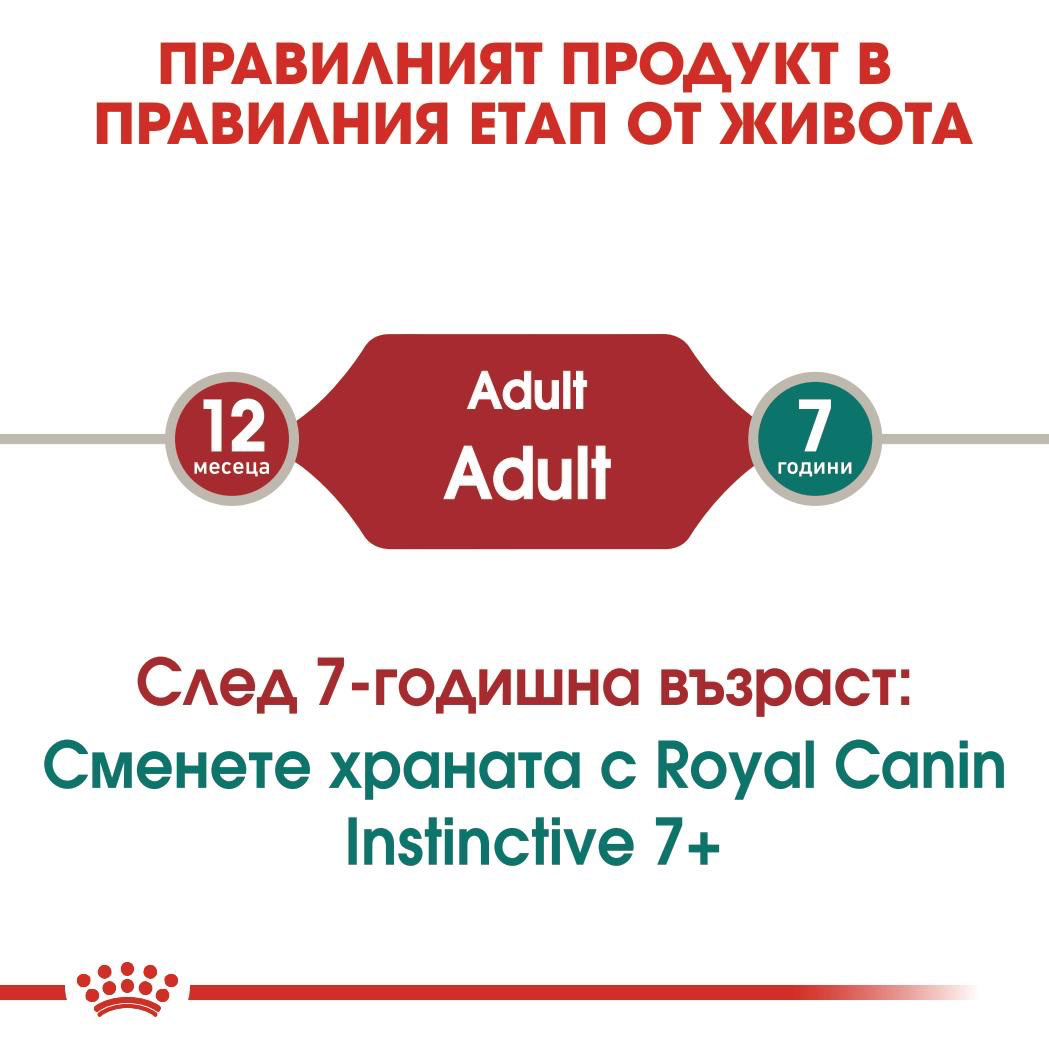 ROYAL CANIN® FHN INSTINCTIVE paste 85g - изображение 5