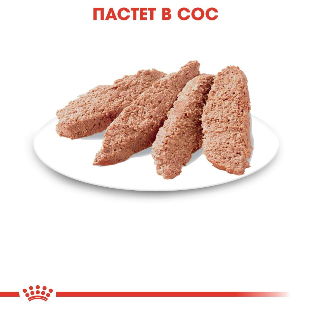 ROYAL CANIN® FHN INSTINCTIVE paste 85g - изображение 3
