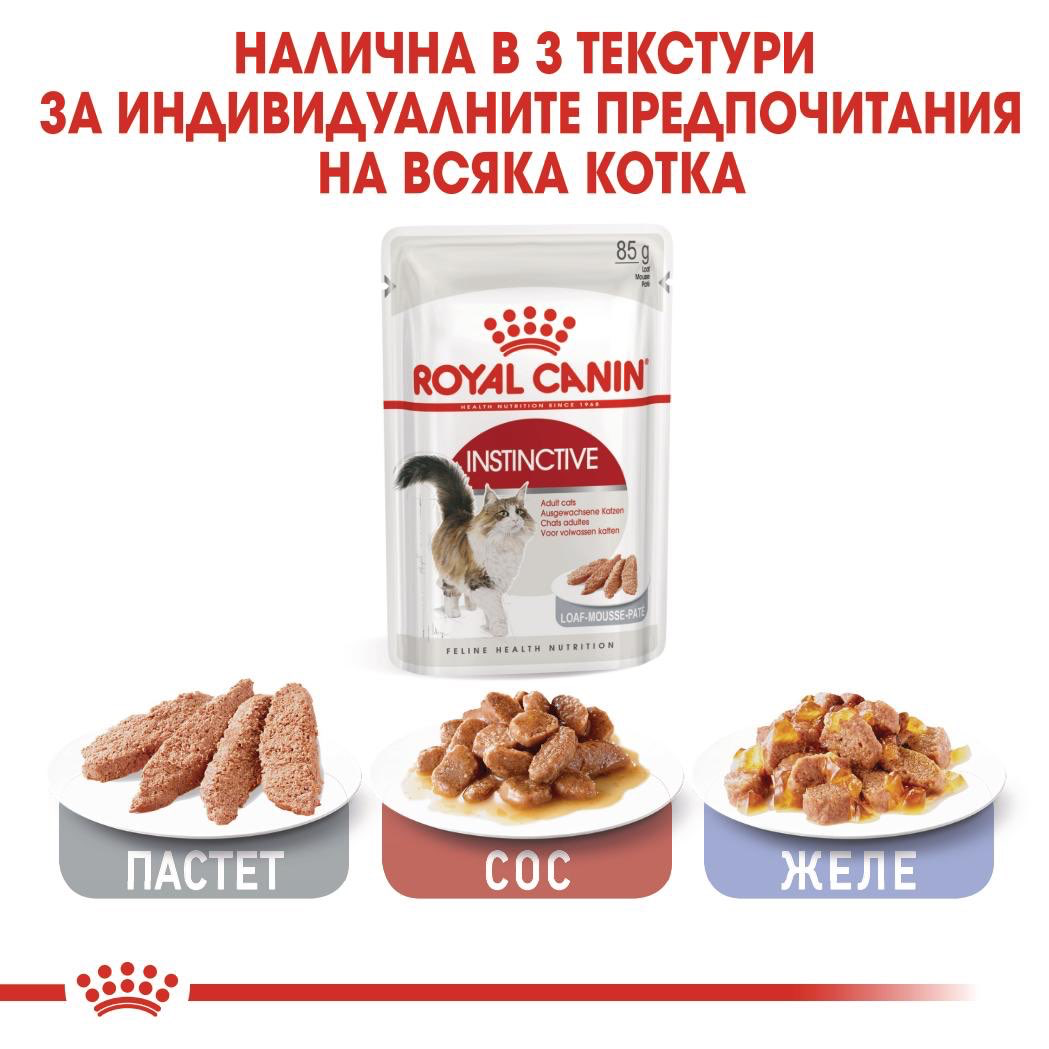 ROYAL CANIN® FHN INSTINCTIVE paste 85g - изображение 1
