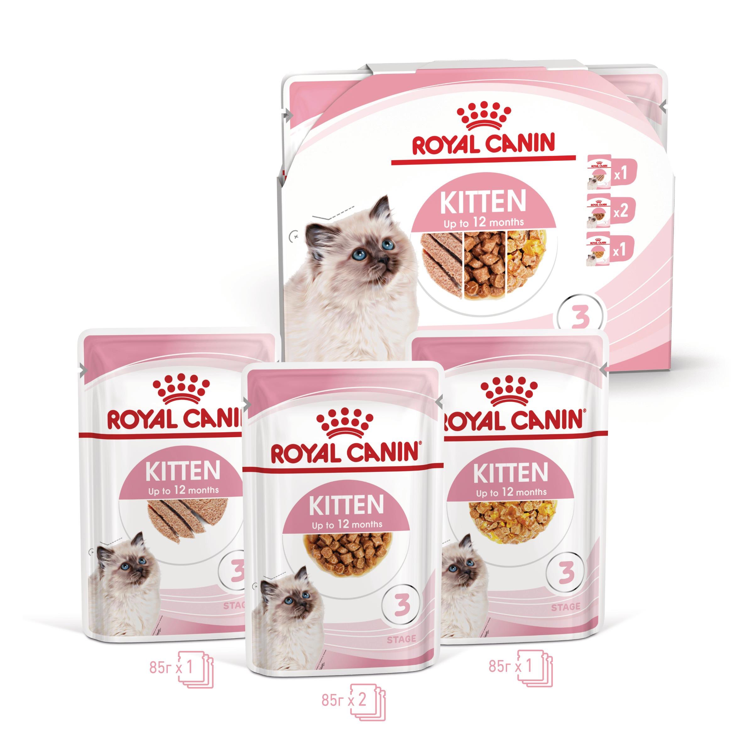 ROYAL CANIN® FHN KITTEN snacks in a sauce 85g - изображение 1