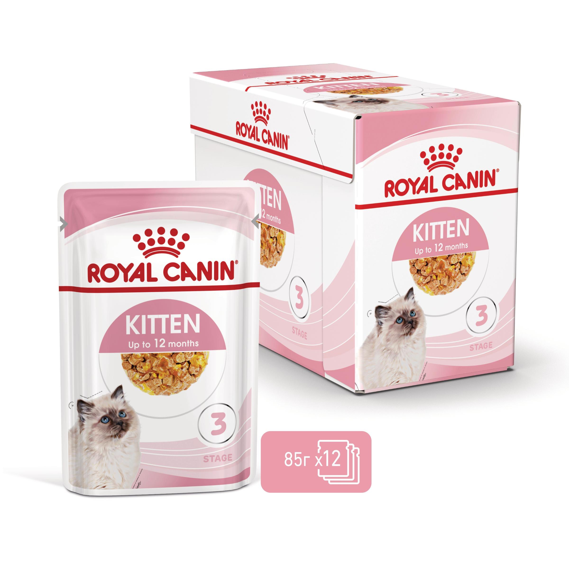 ROYAL CANIN® FHN KITTEN хапки в желе 85г - изображение 1