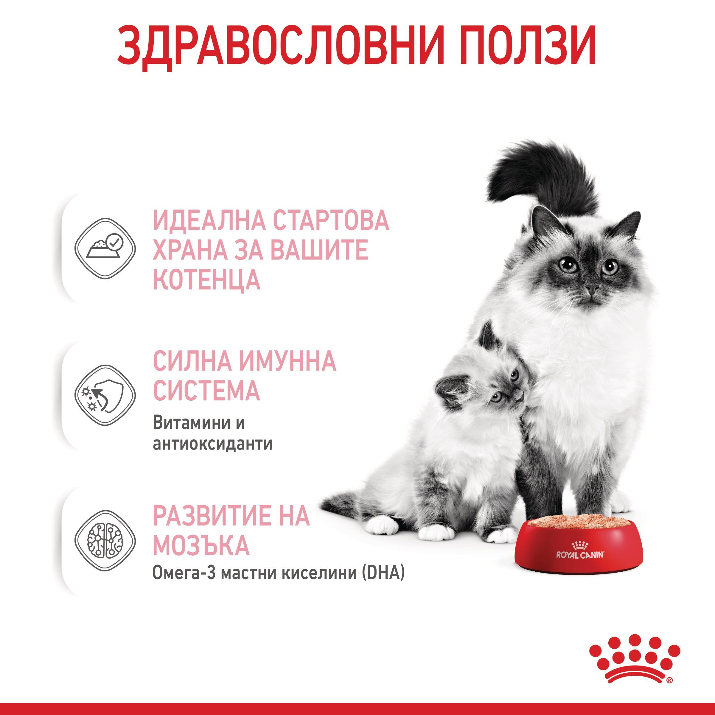 ROYAL CANIN® FHN MOTHER & BABYCAT soft cat food 195 g - изображение 5