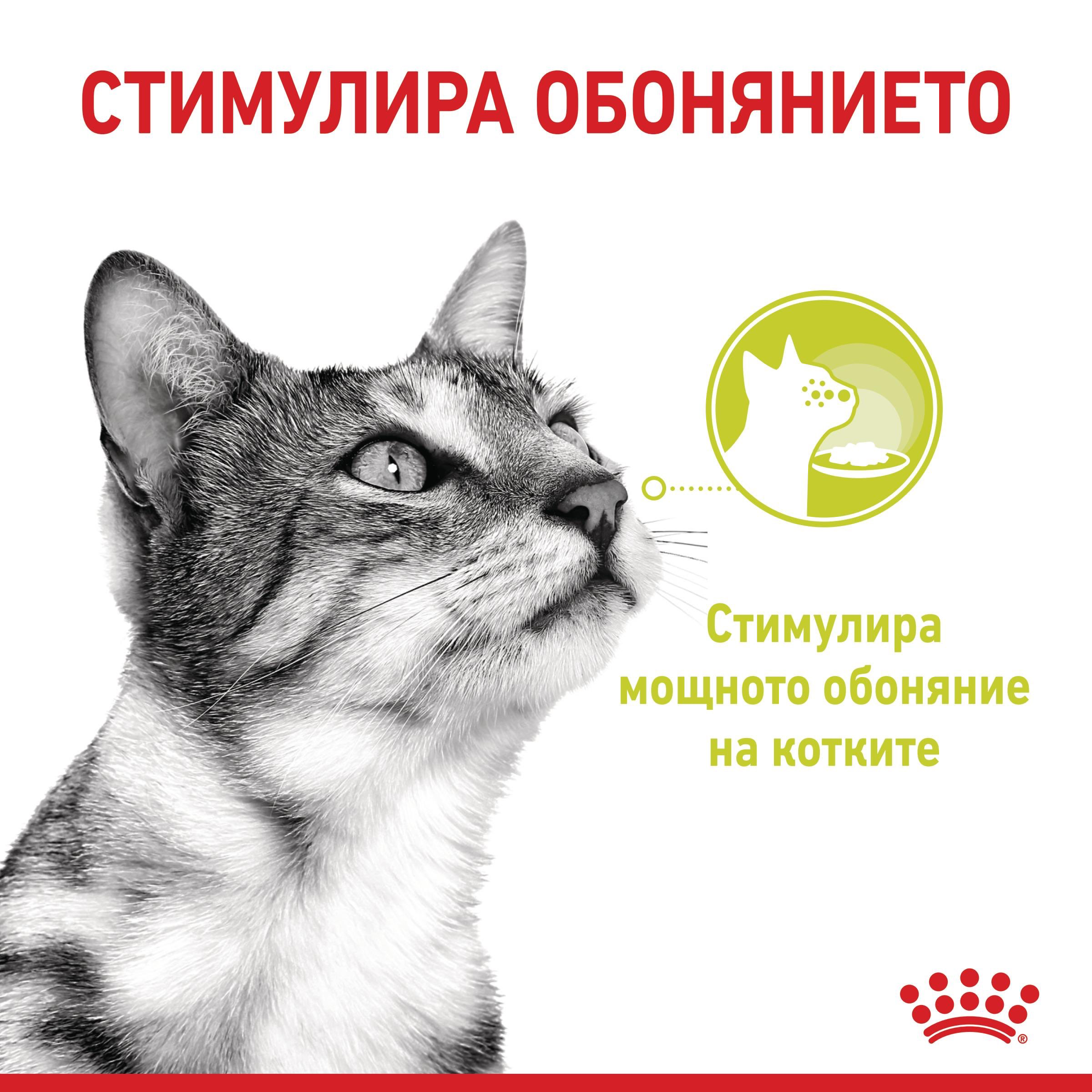 ROYAL CANIN® FHN SENSORY SMELL 85g - изображение 3