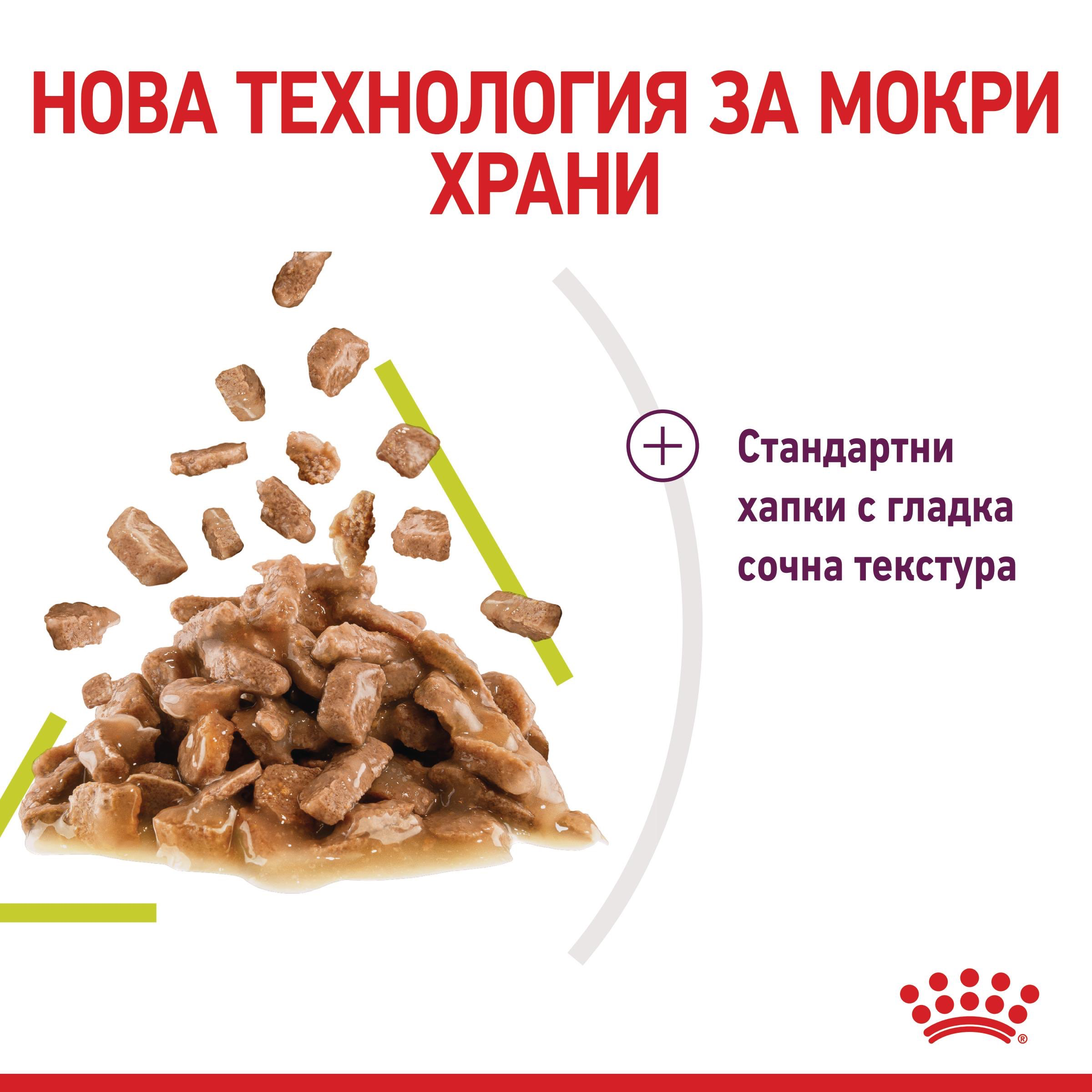 ROYAL CANIN® FHN SENSORY SMELL 85g - изображение 2