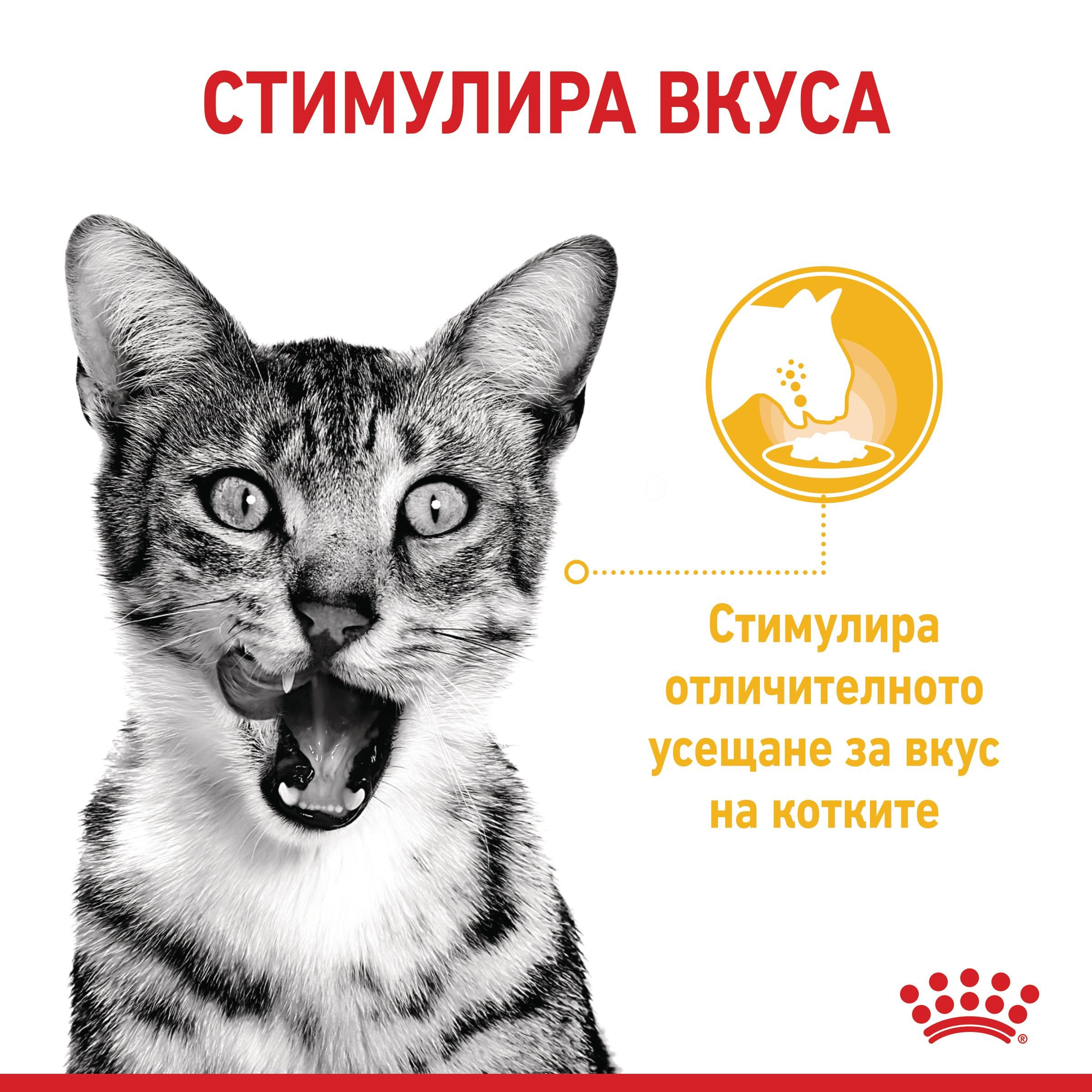ROYAL CANIN® FHN SENSORY TASTE snacks in jelly 85g - изображение 4