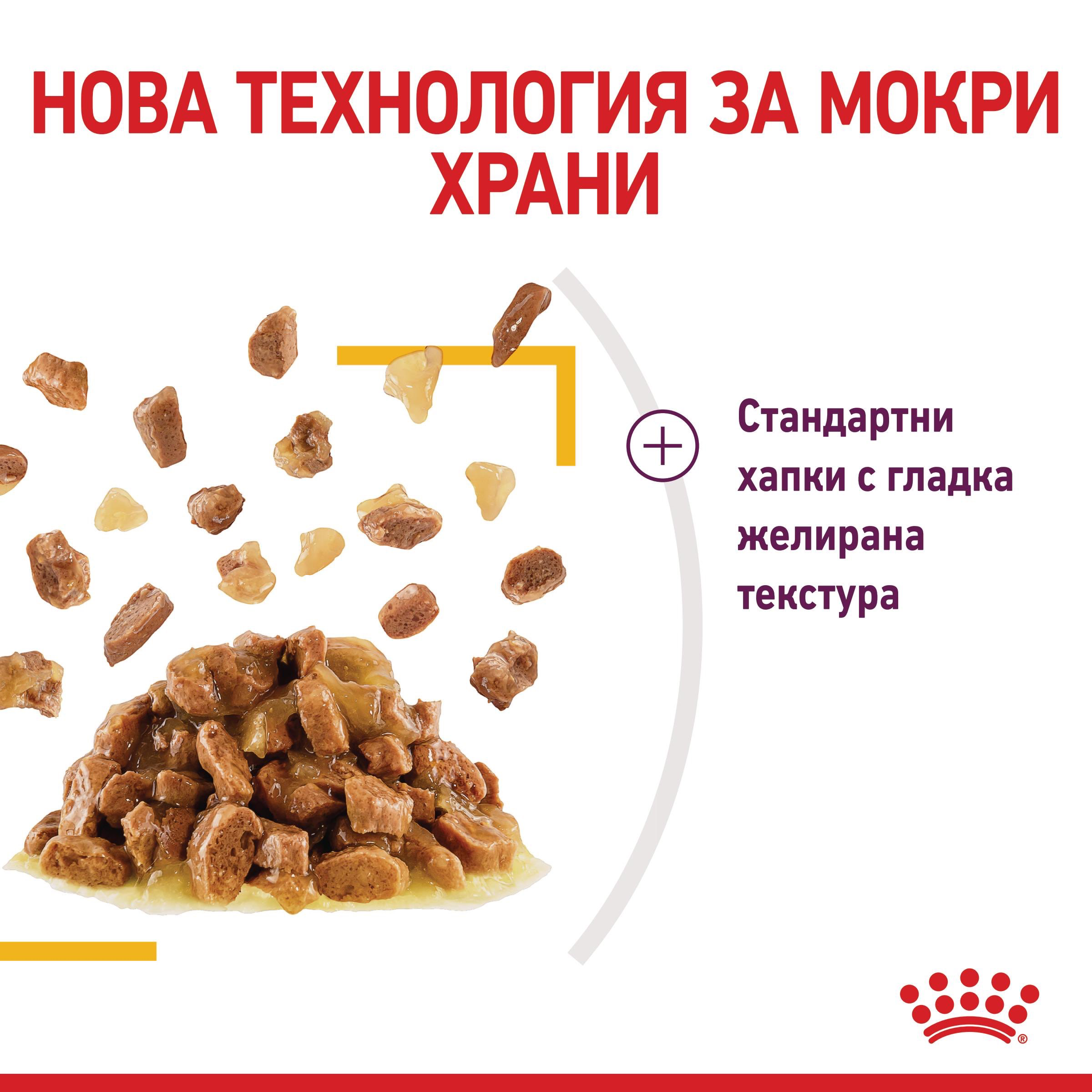ROYAL CANIN® FHN SENSORY TASTE snacks in jelly 85g - изображение 3